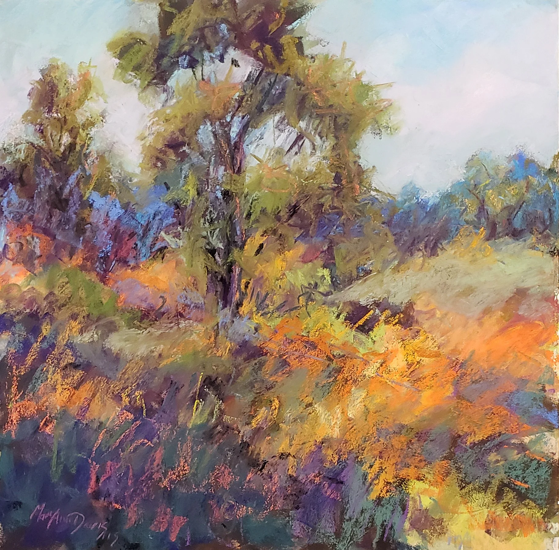 Fallow Field of Color