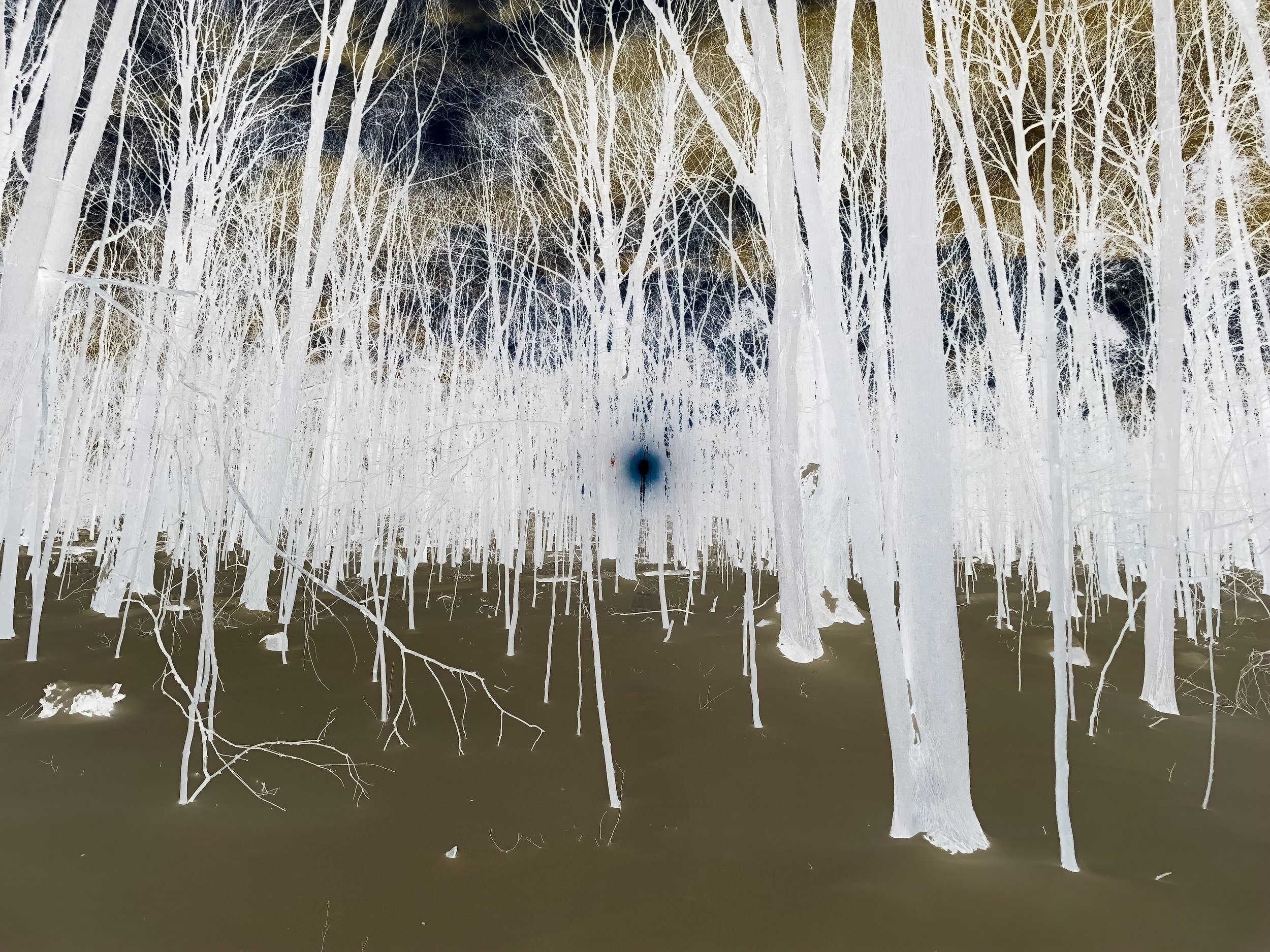 Winter Catching My Death - Published by Art Market International Magazine Issue No. 71 & Maya Literary Magazine 2022. Violet Grove - Featured by The Space Art Gallery & The Urban Art Gallery, Philadelphia, Pennsylvania, USA.