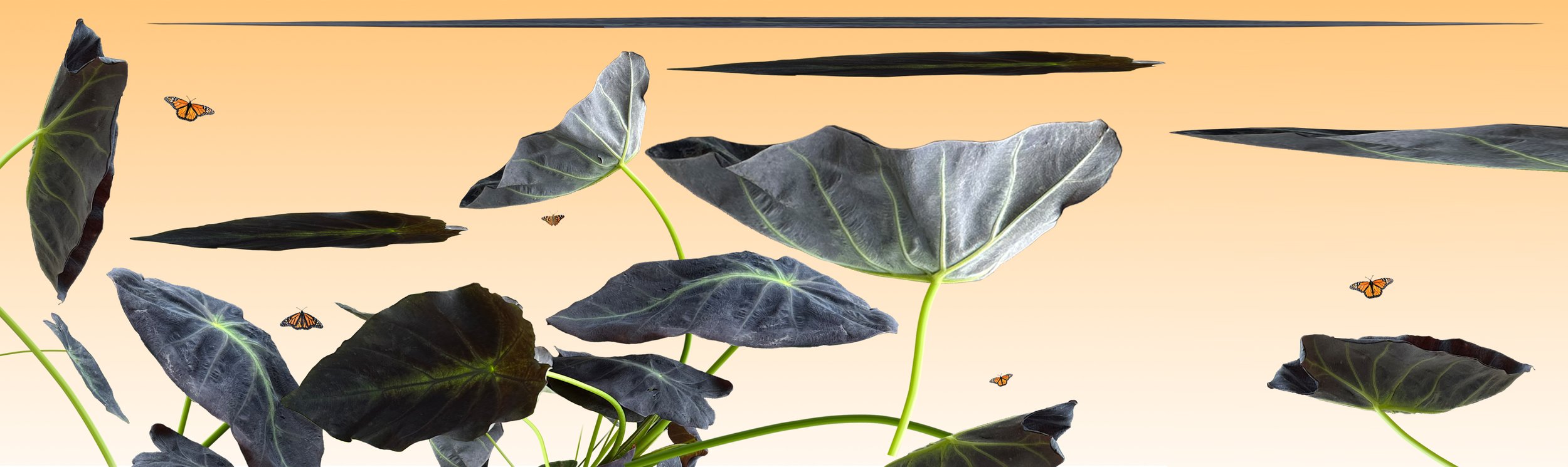 Nu Leaf II - Published by Gypsophila Art & Literary Magazine Volume No. 3 Issue No. 5.