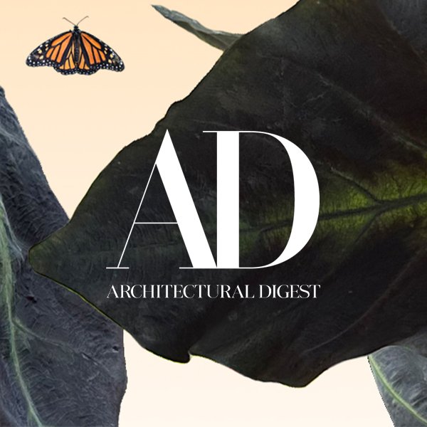 Architectural Digest & Artifact Gallery Square Promotional Graphic III.