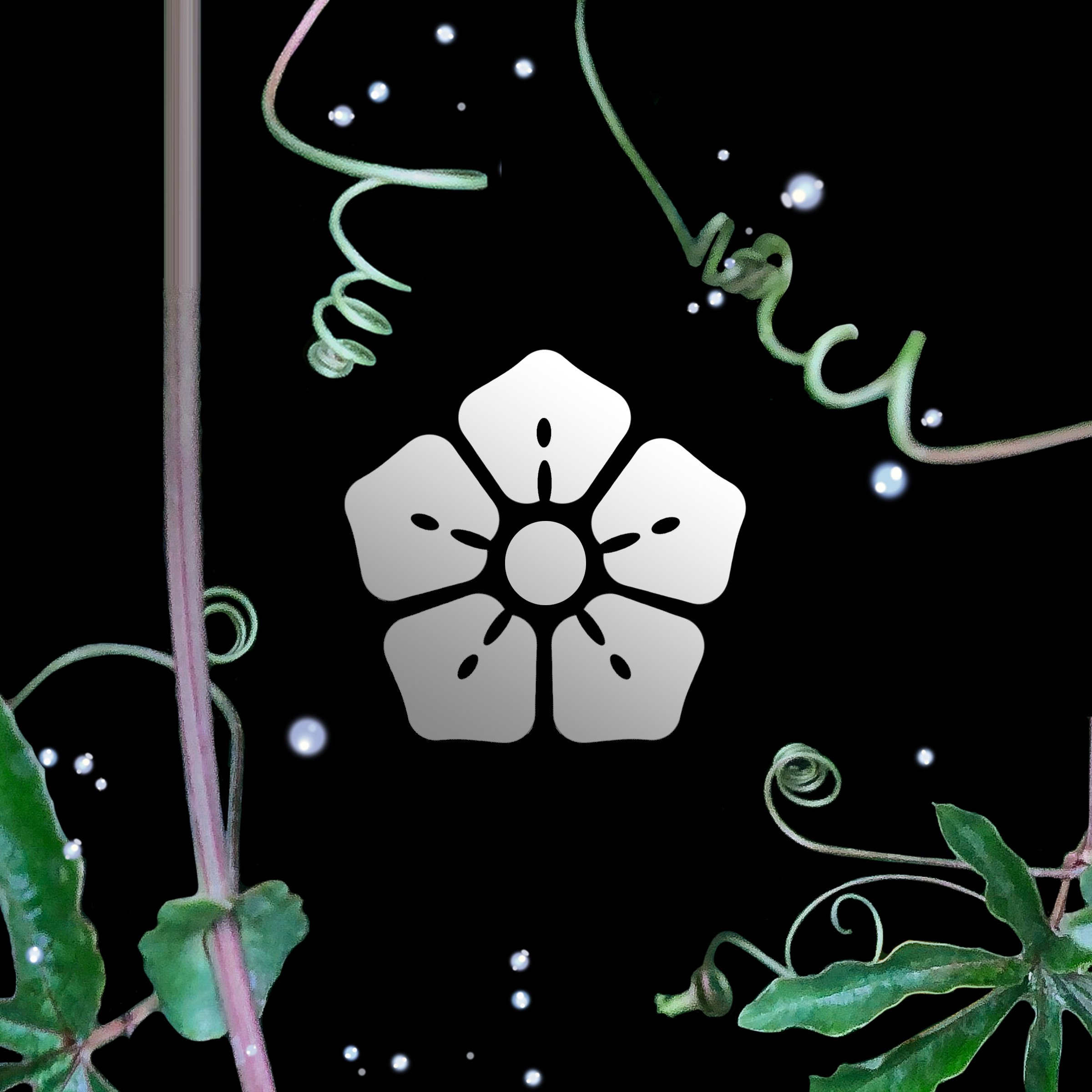 Piuda Art Space Square Promotional Graphic VI.