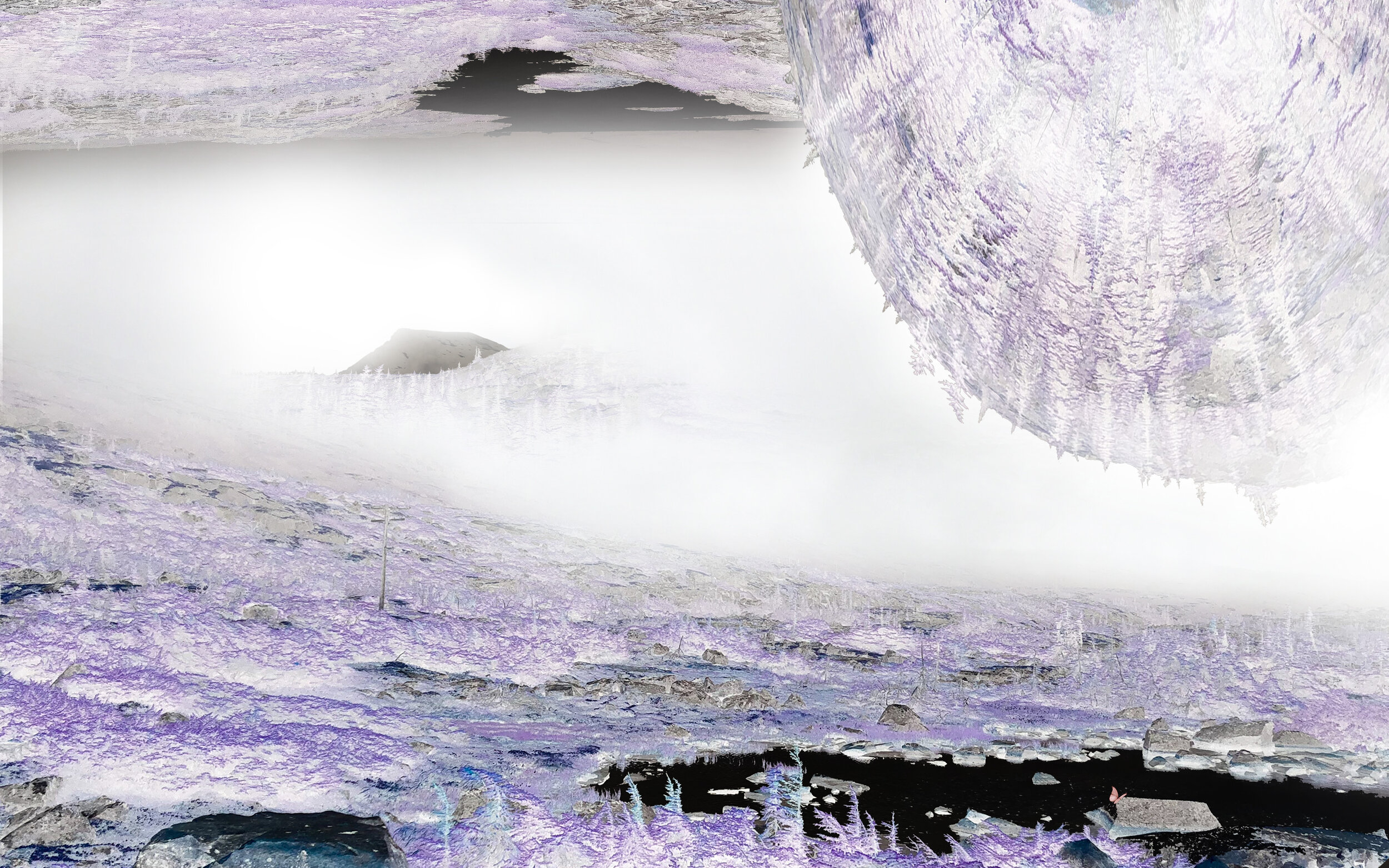 Landscape_V2.jpg