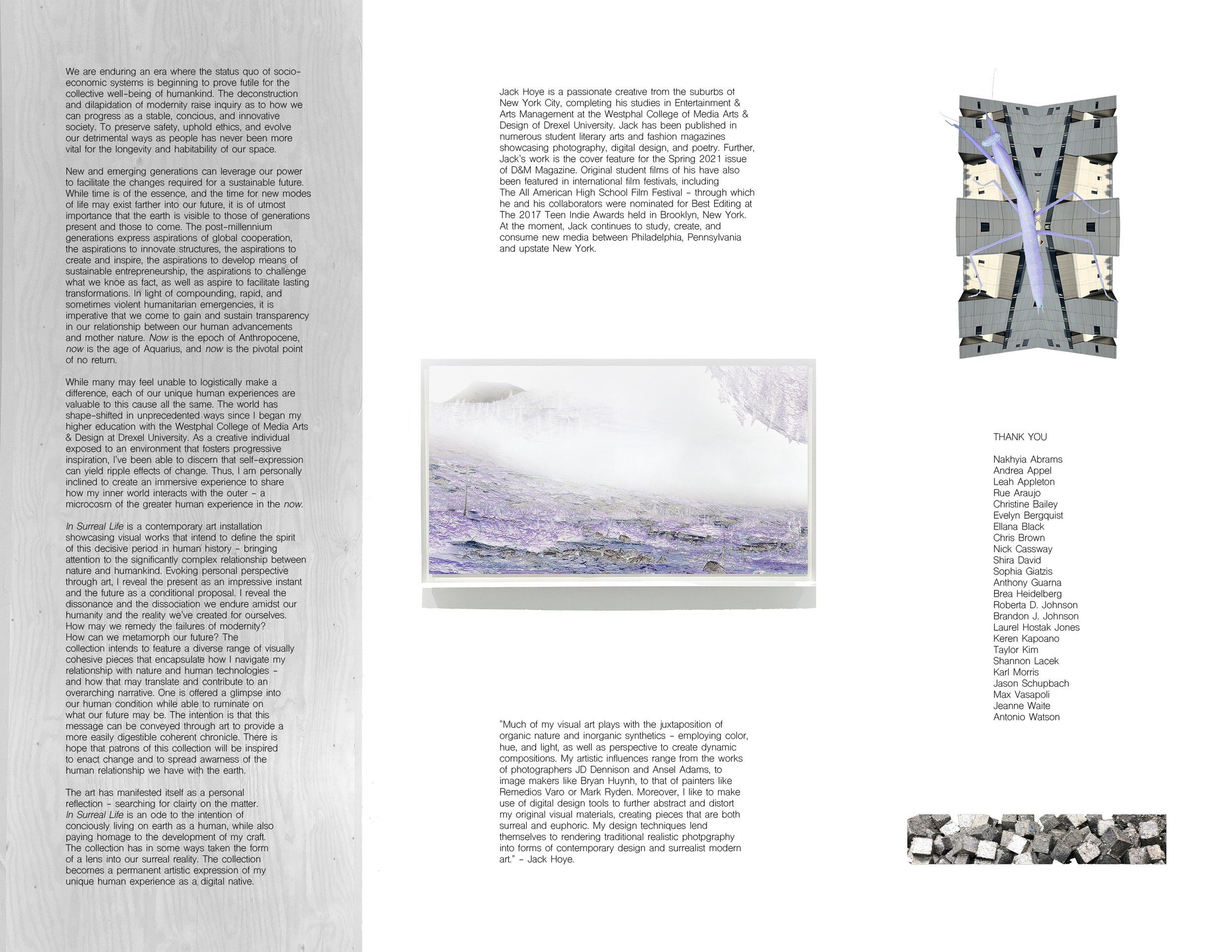 "In Surreal Life," Solo Exhibition - Infographic II, 2022.