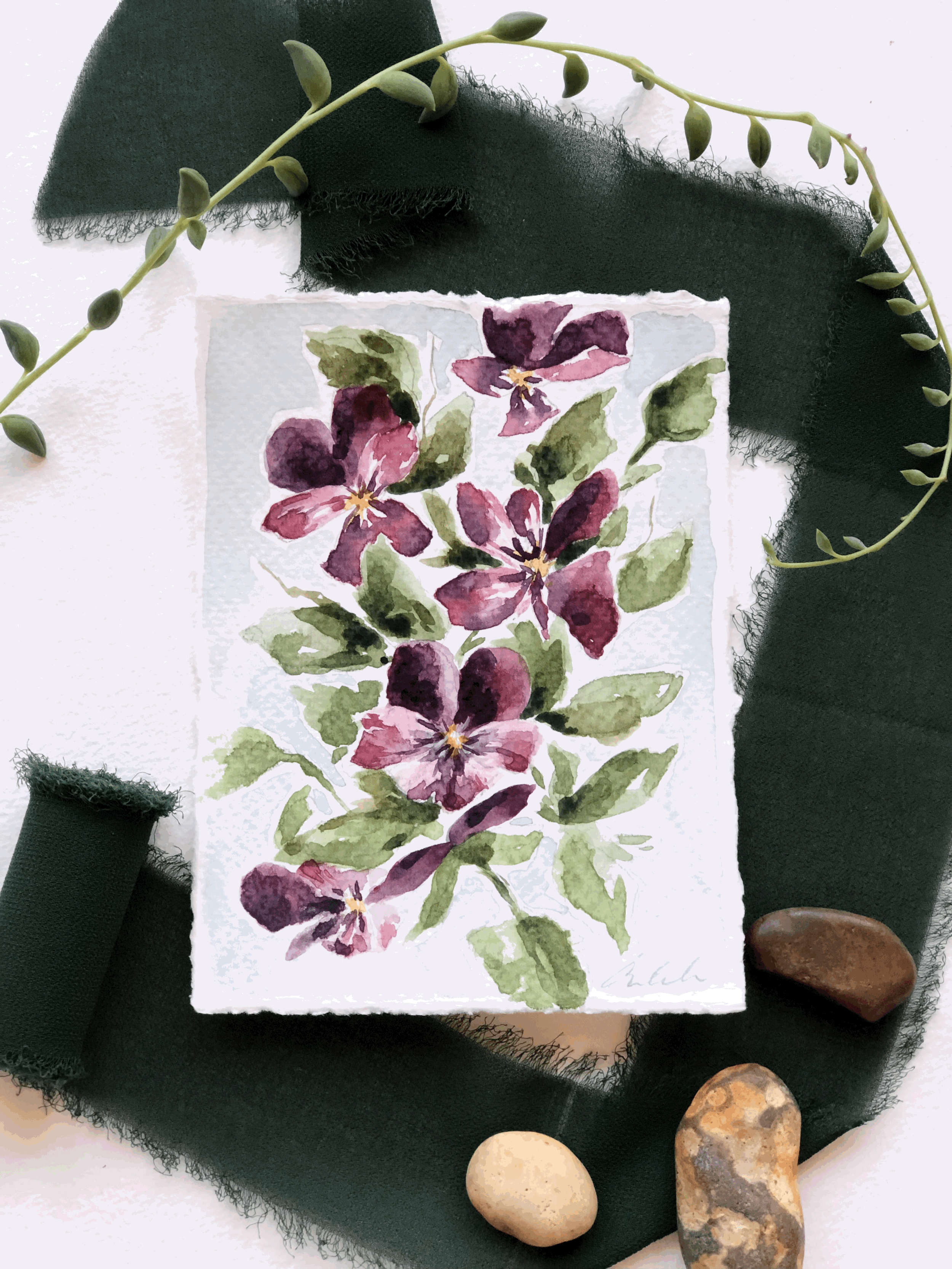 Purple Pansies
