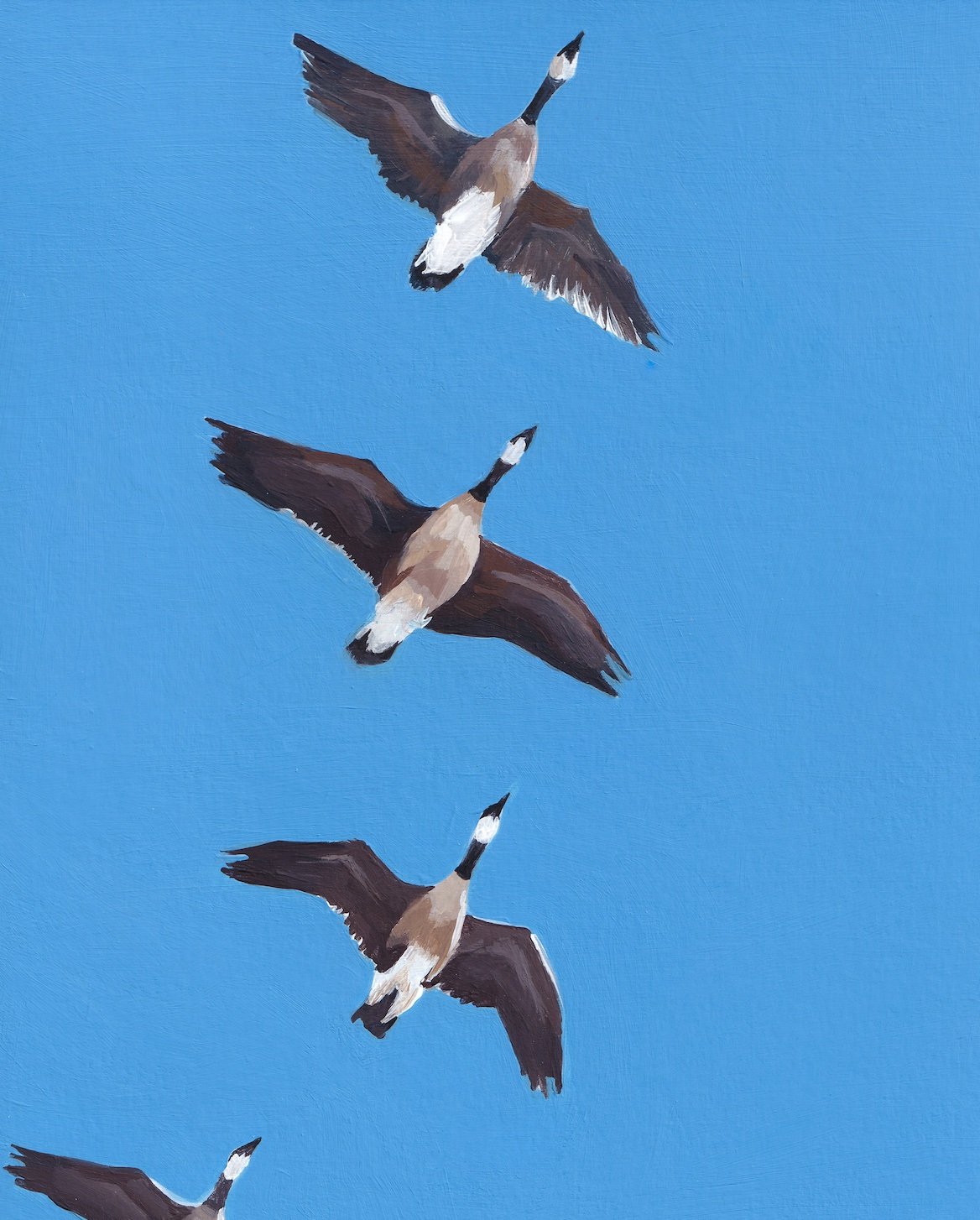 Across the Blue.jpg