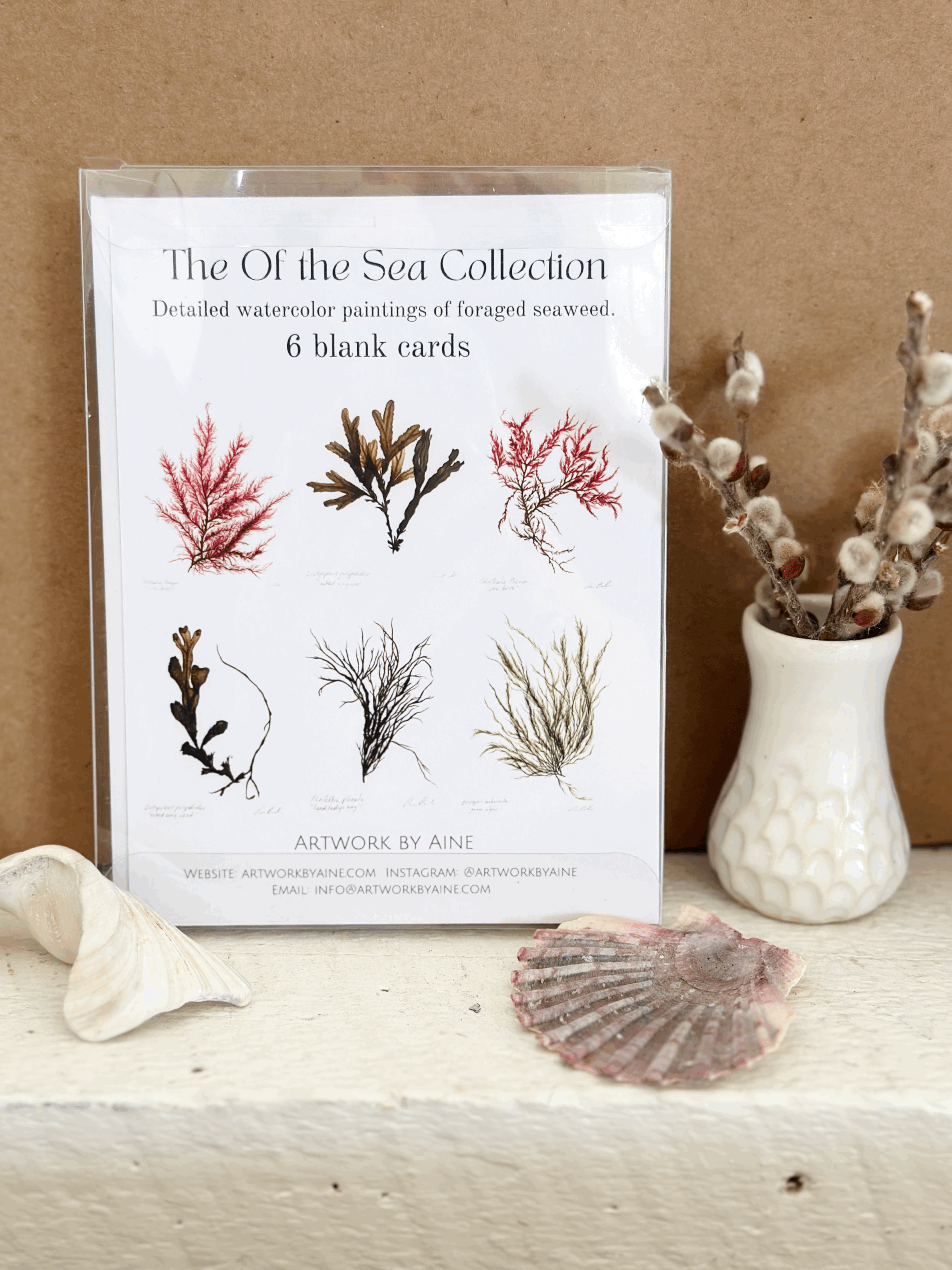Seaweed Card Pack