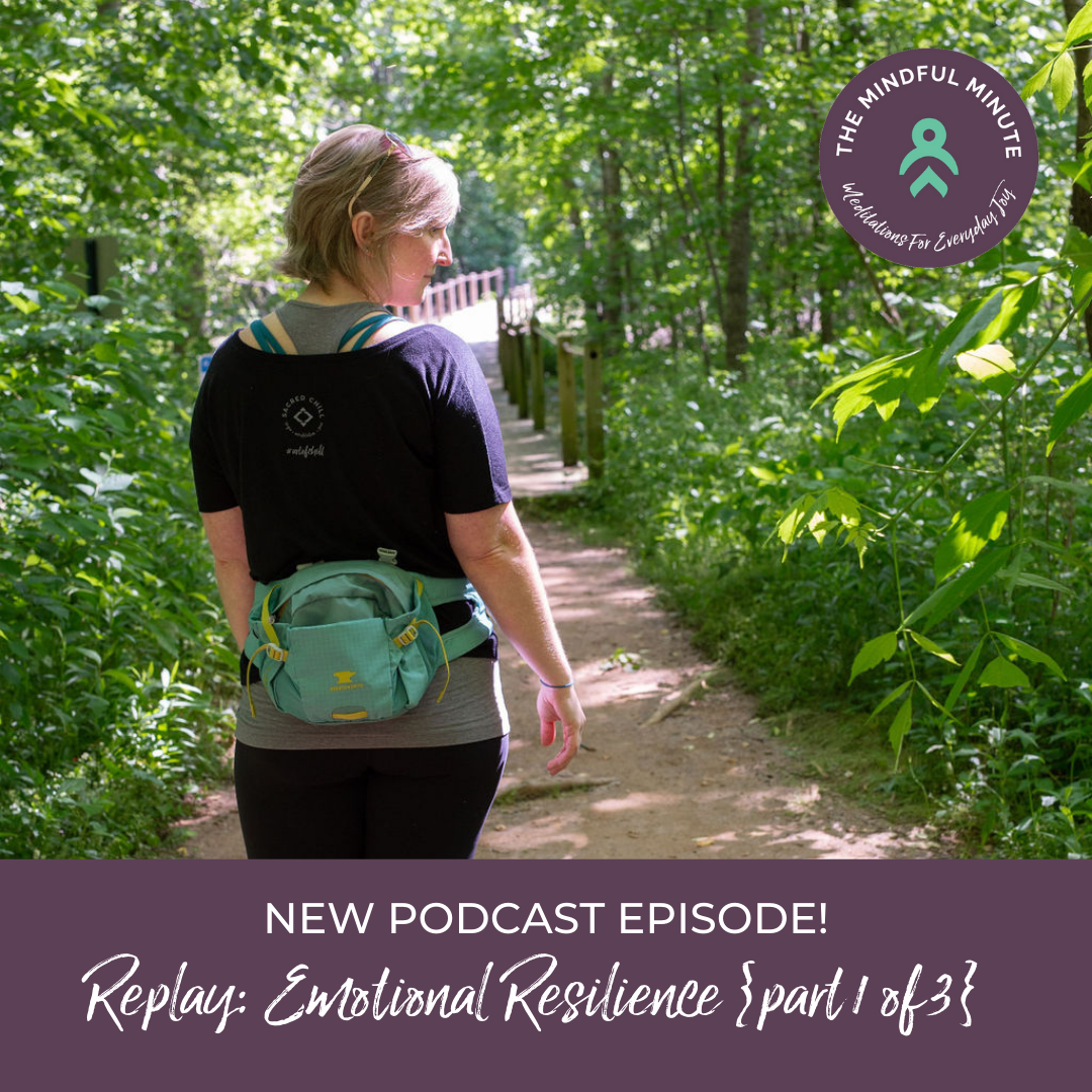 REPLAY: Navigating Tricky Times