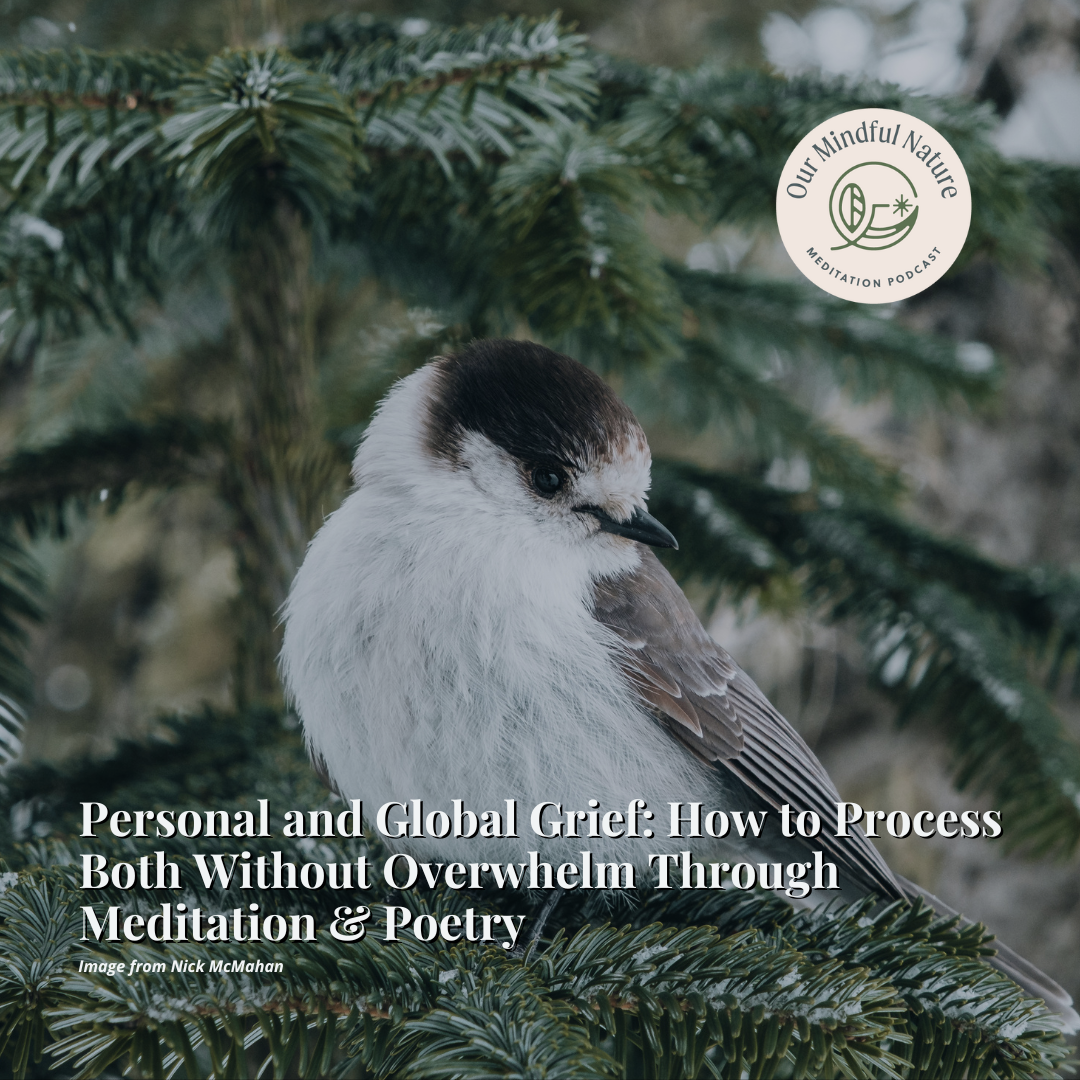 Personal and Global Grief: How to Process Both Without Overwhelm Through Meditation &amp; Poetry 