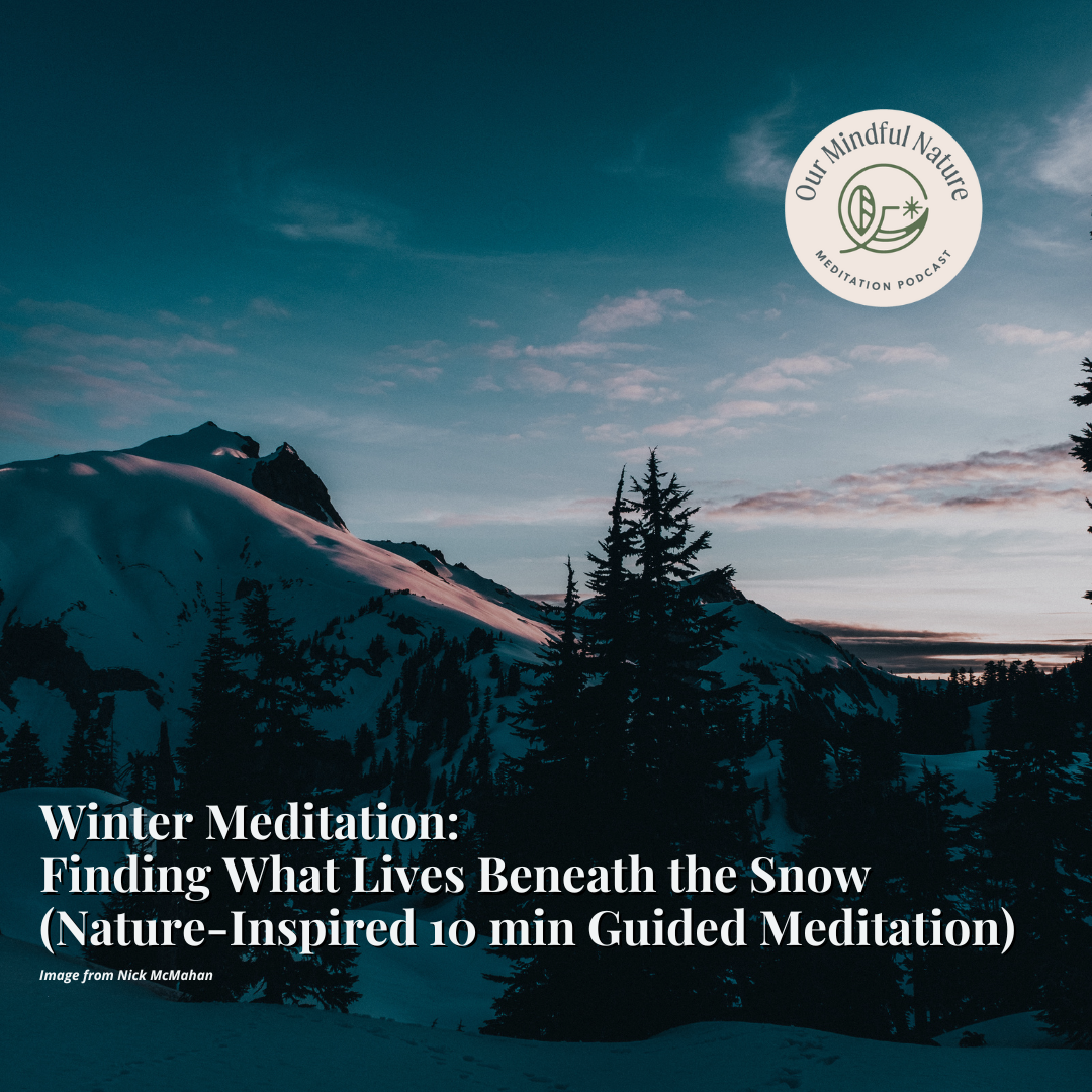 Winter Meditation: Finding What Lives Beneath the Snow (Nature-Inspired 10 min Guided Meditation)
