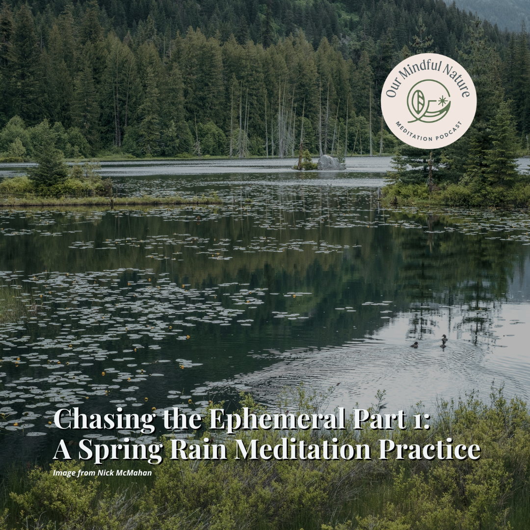 Chasing the Ephemeral Part 1:  A Spring Rain Meditation Practice