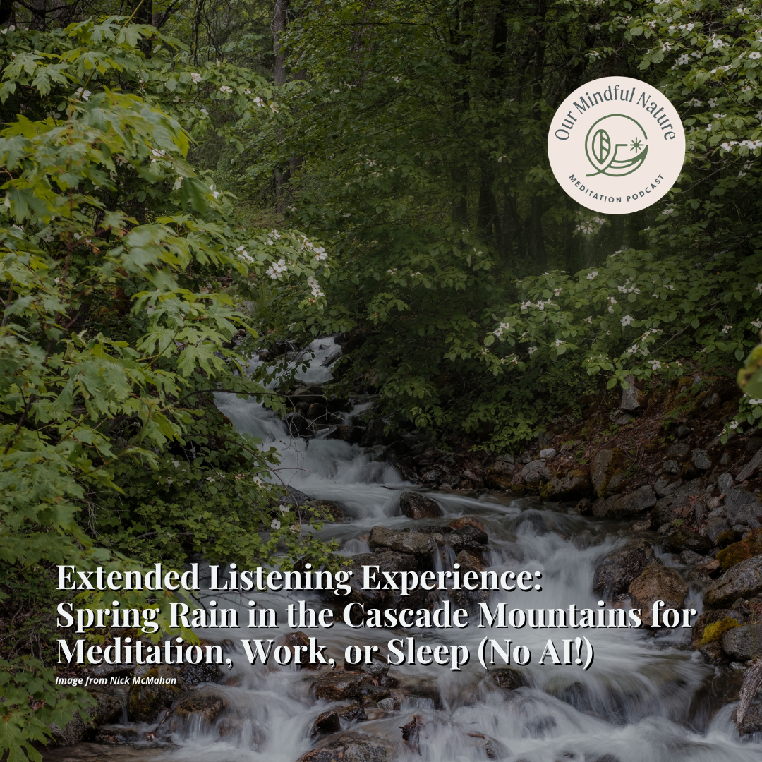 Extended Listening Experience: Spring Rain in the Cascade Mountains for Meditation, Work, or Sleep (No AI!)