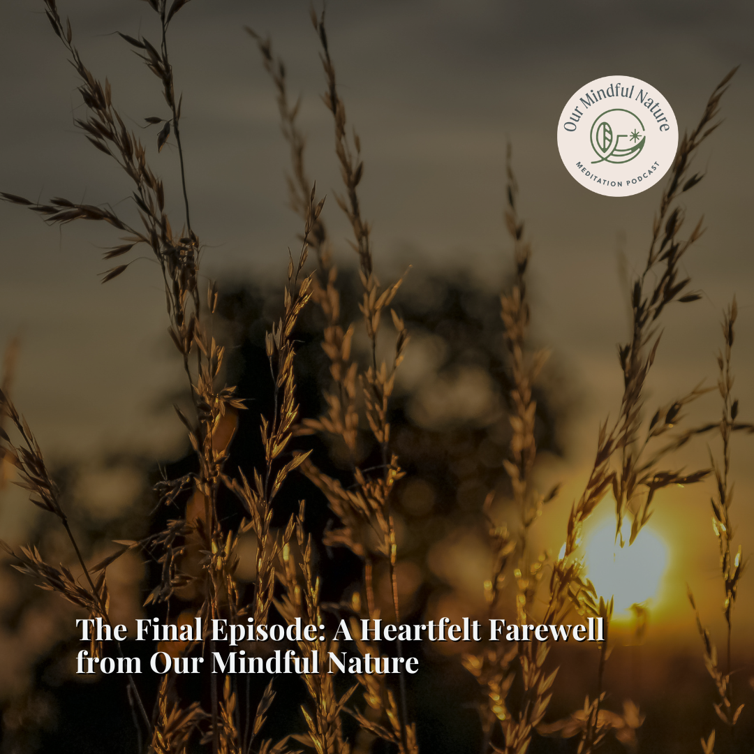 The Final Episode: A Heartfelt Farewell from Our Mindful Nature