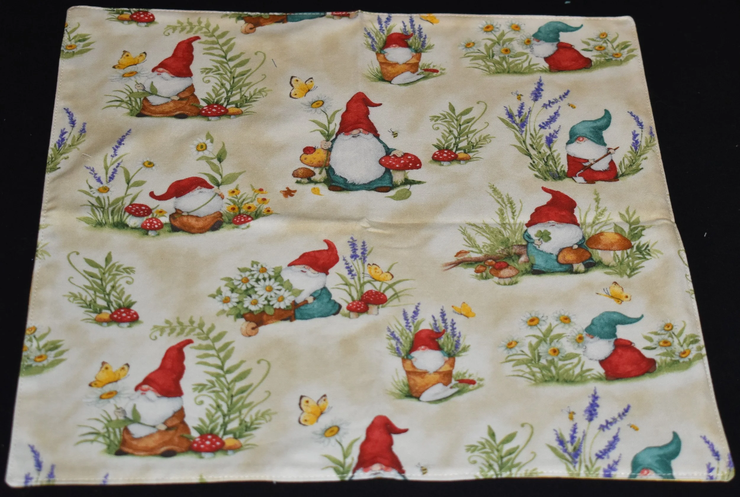 BBL-Garden Gnomes.JPG