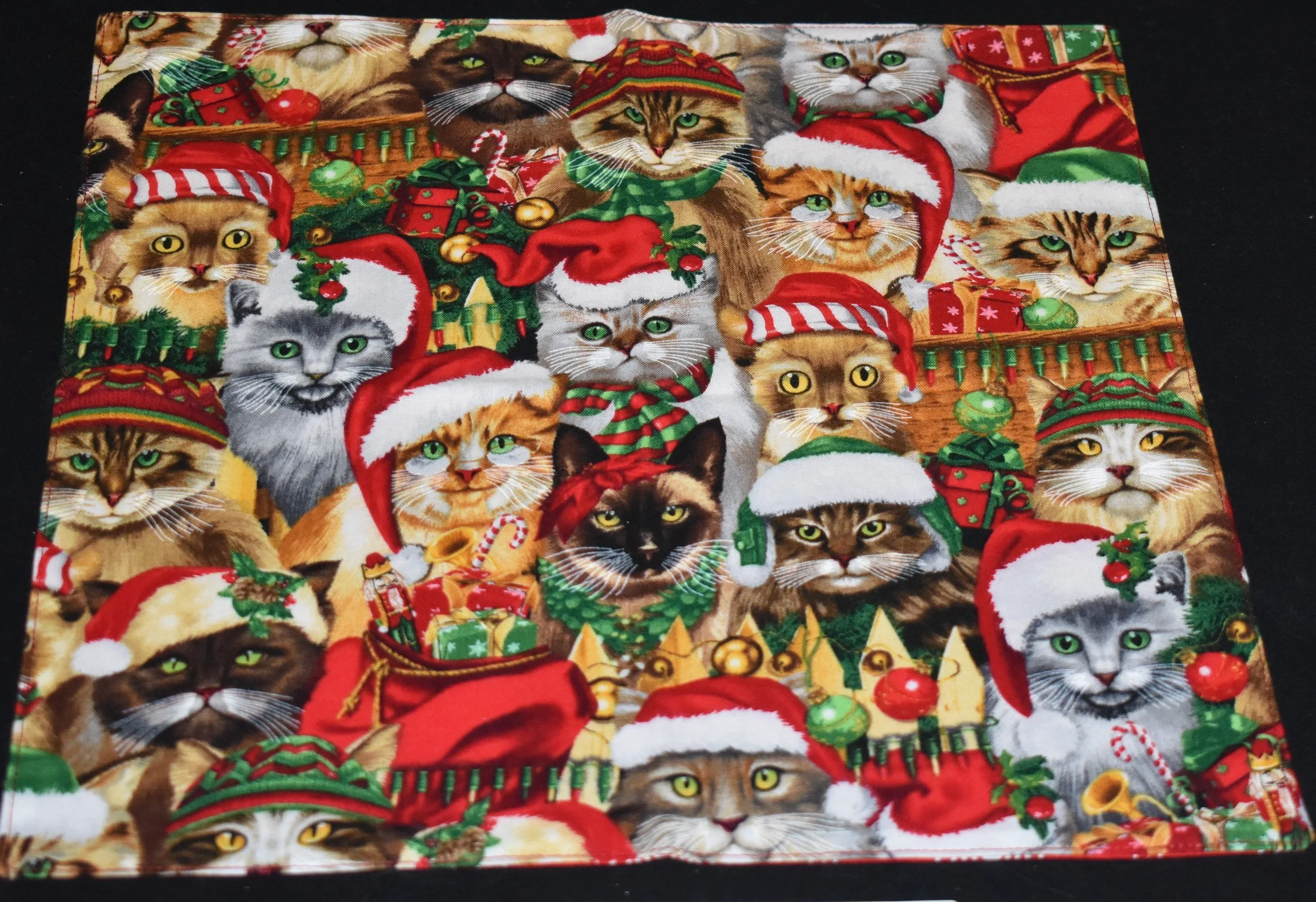 BBL-Christmas Cats.JPG
