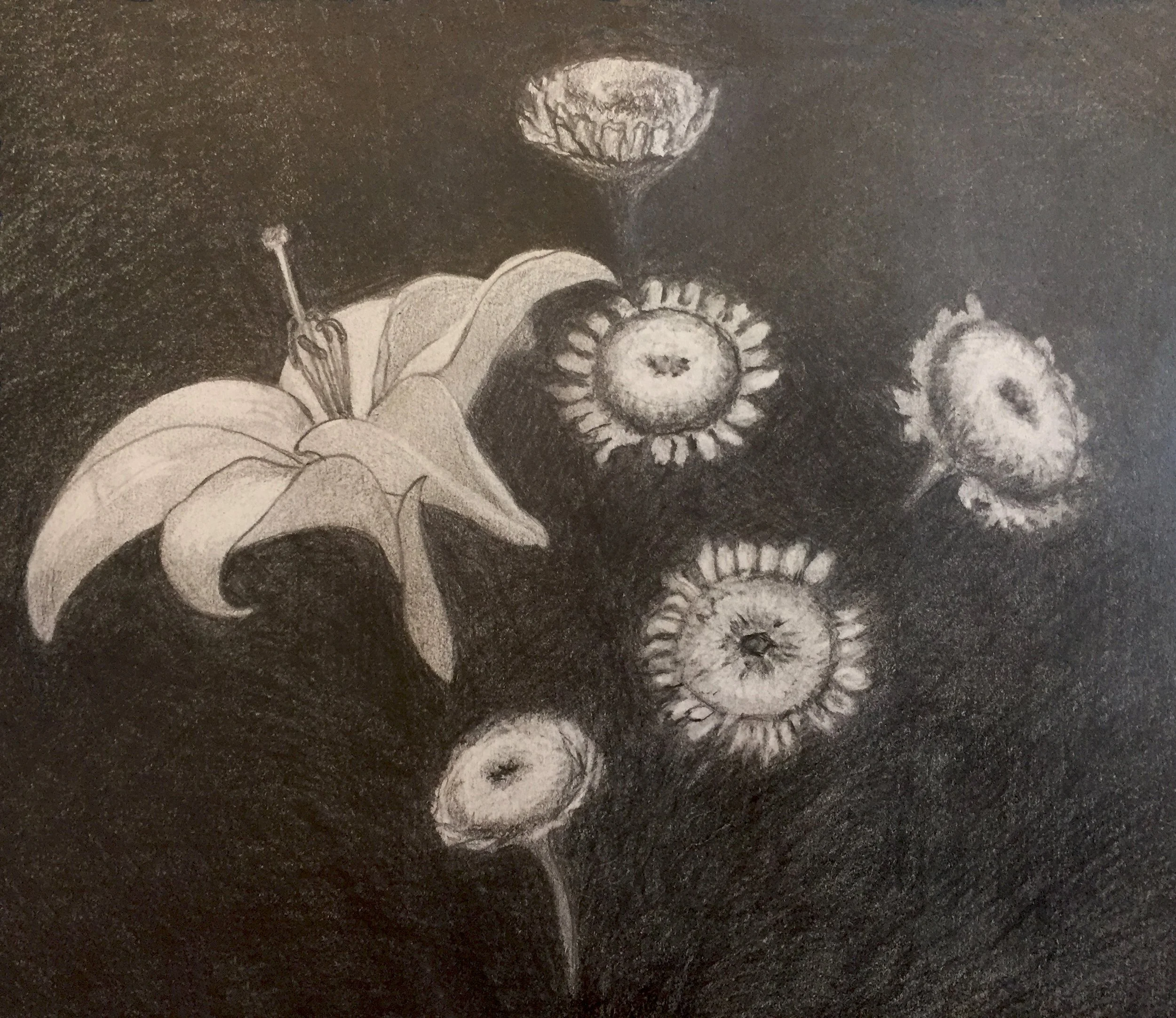 Best shot drawing copy.jpg