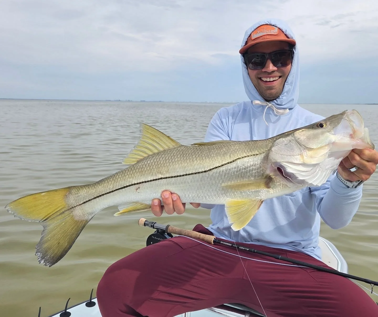 November is off to a good start!