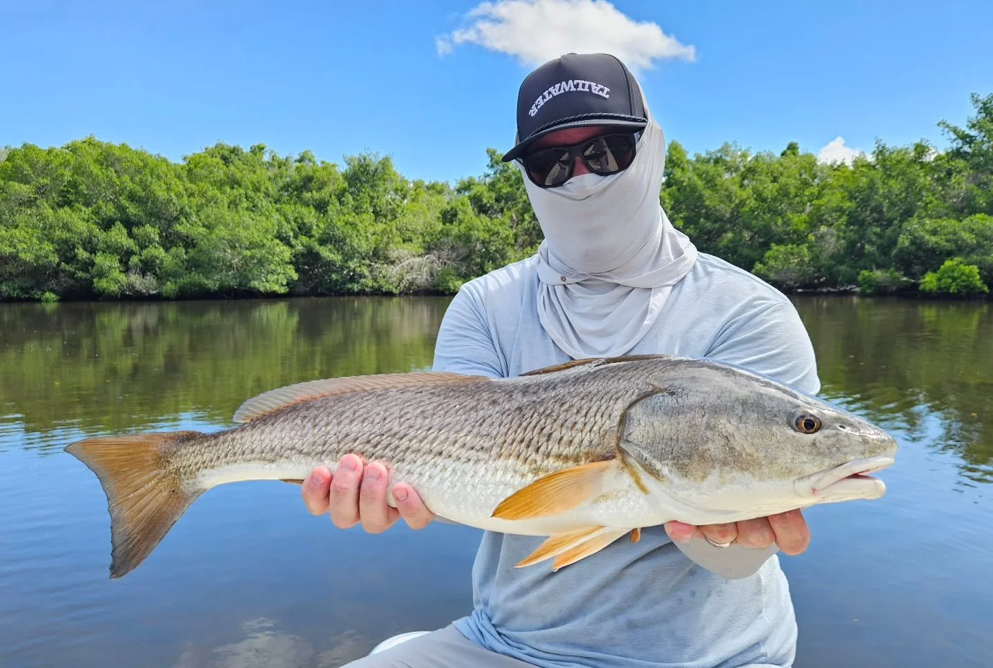 Here's a couple from the last week or so. Love this time of year. Its hot but the fish are happy!