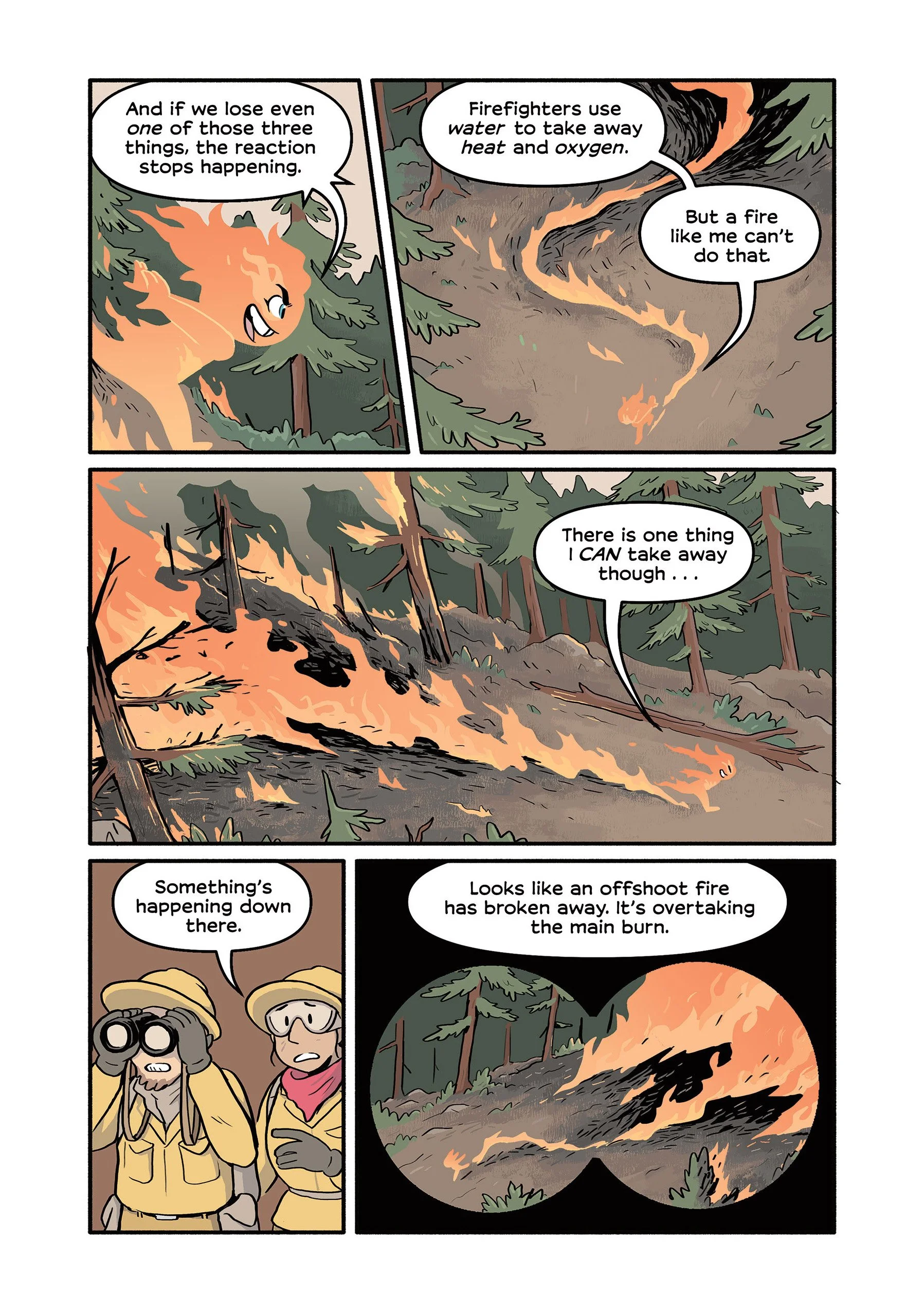 Science Comics: Wildfires