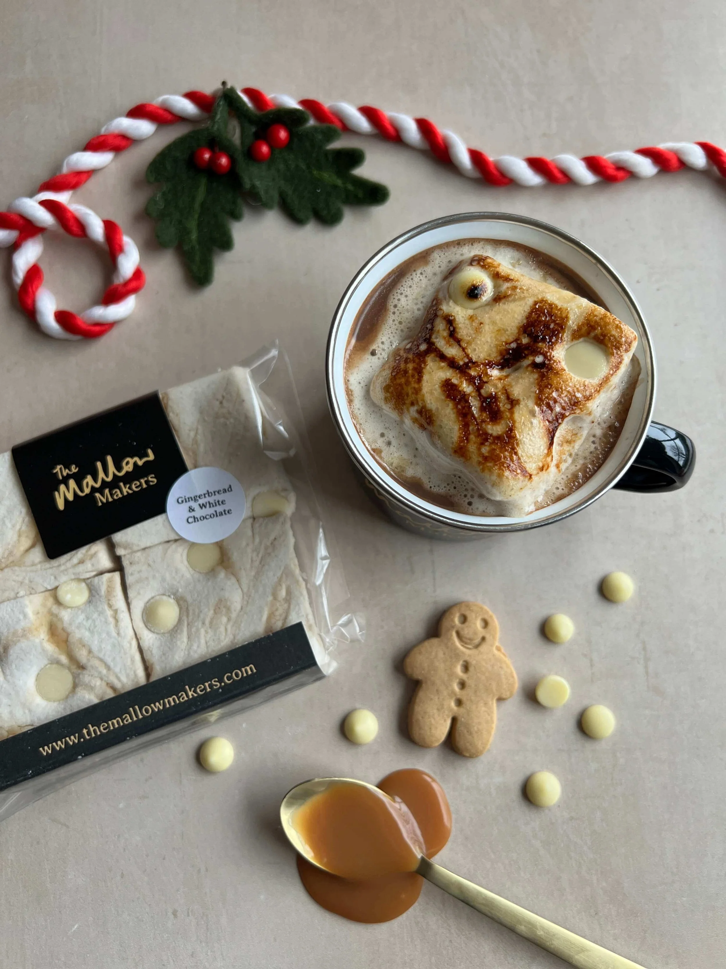 looking-down-on-hot-chocolate-with-gingerbread-and-white-chocolate-marshmallow-beside-packet-and christmas-ribbon.jpeg