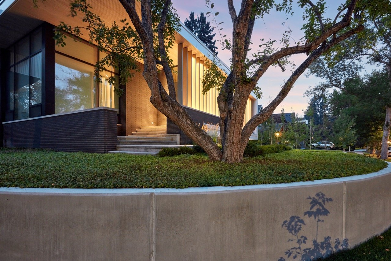 Modern building with large windows viewed from a landscaped area with a large tree in the foreground and a sidewalk in the background during dusk.