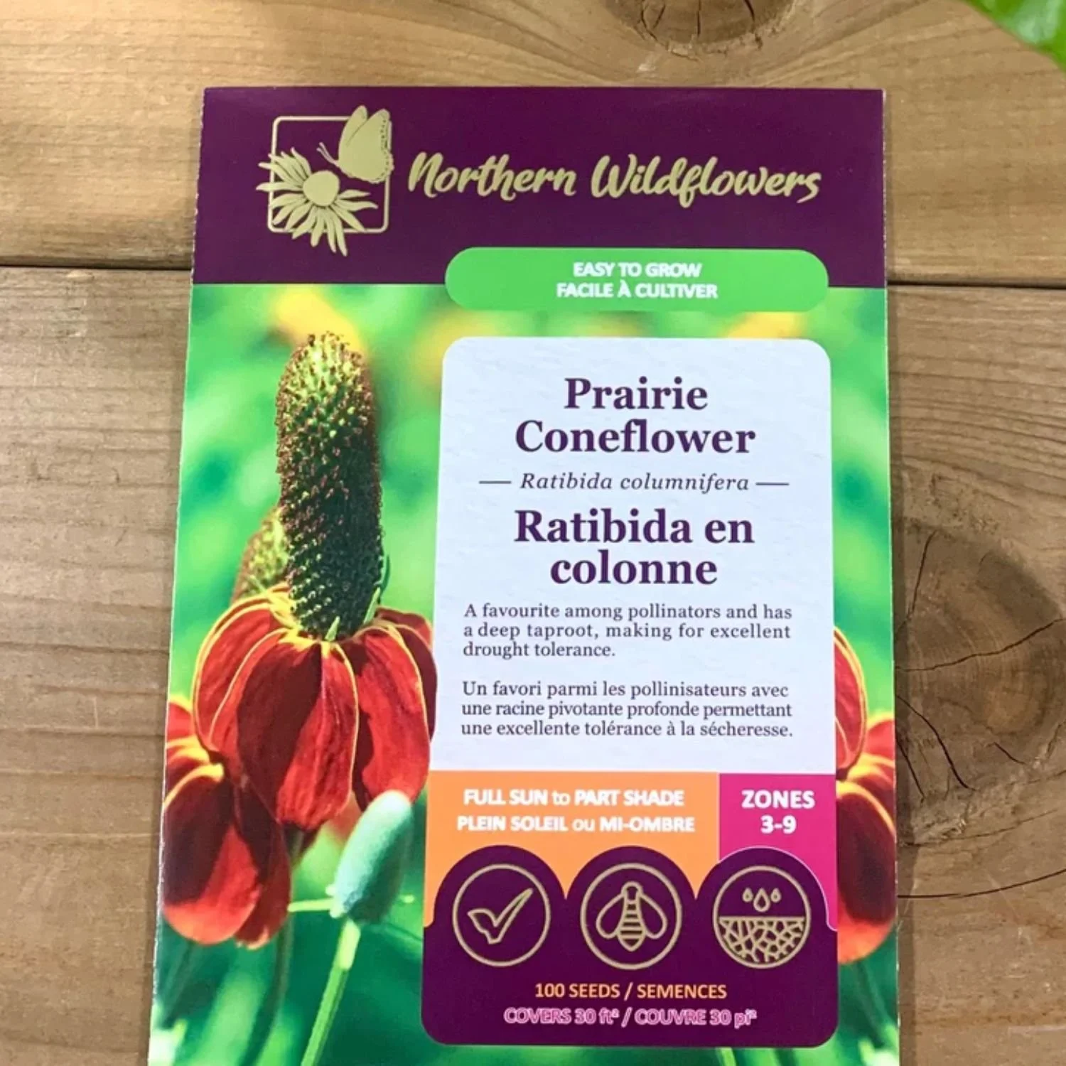 website photo template (19).jpg