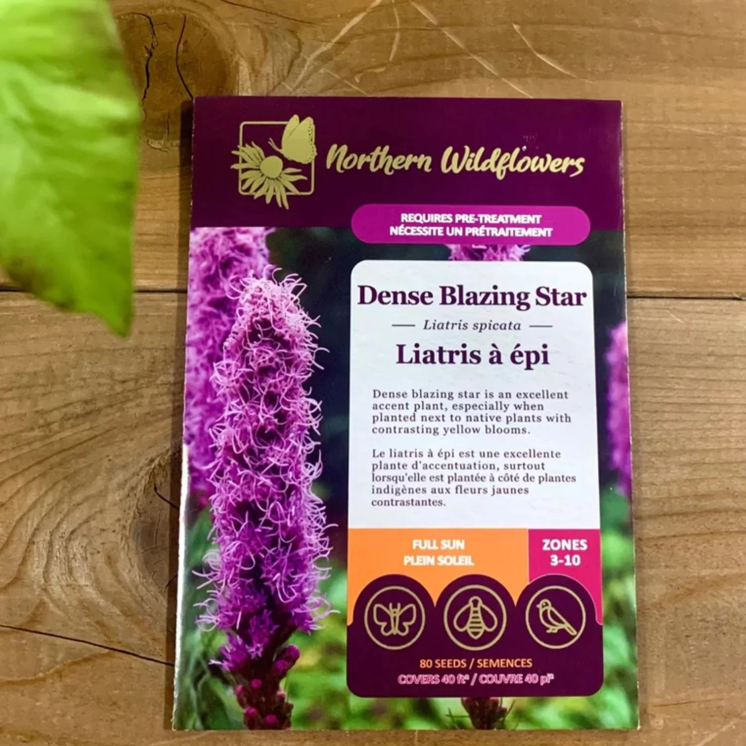 website photo template (12).jpg