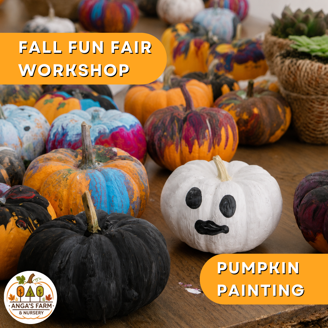 Pumpkin Painting Workshop (For Fall Fun Fair Attendees Only)