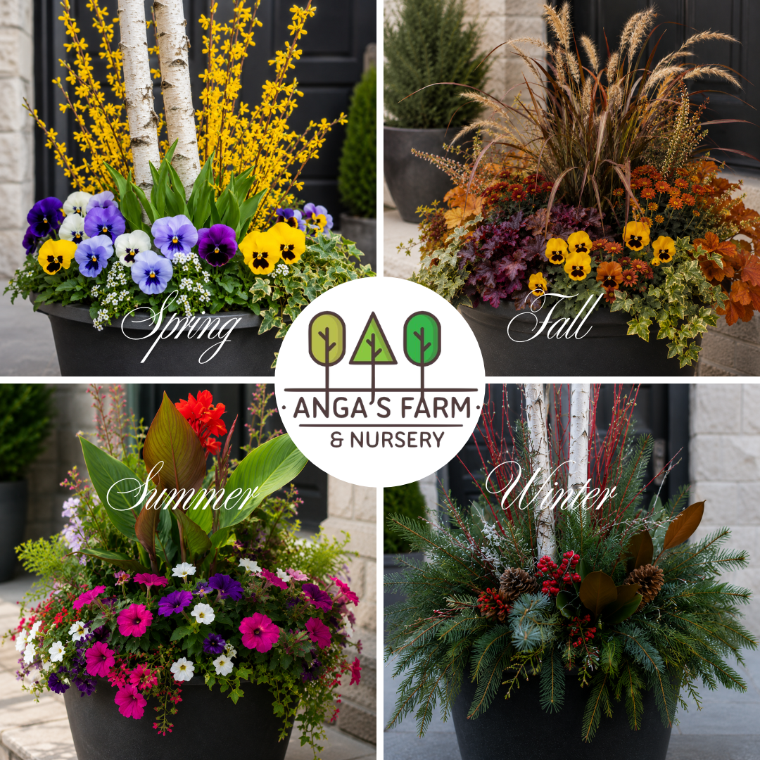 The Anga's Four Seasons Planter Program | Ready-Made Outdoor Arrangements