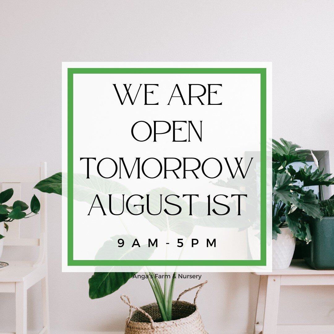 Happy Sunday ☀ We are open for in-store shopping tomorrow from 9am - 5pm. See you then!