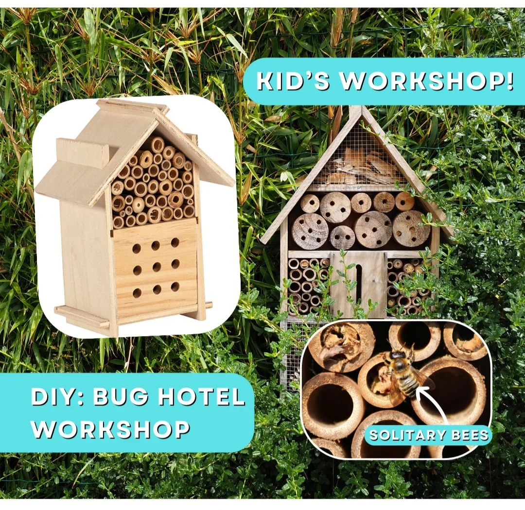 Kids’ Bug Hotel Workshop