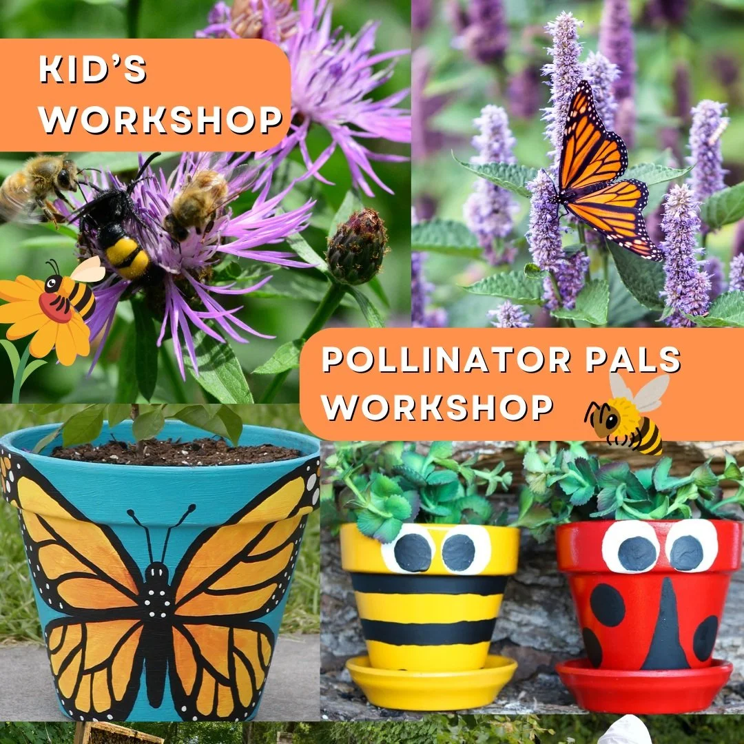 Kid's Pollinator Pals Workshop