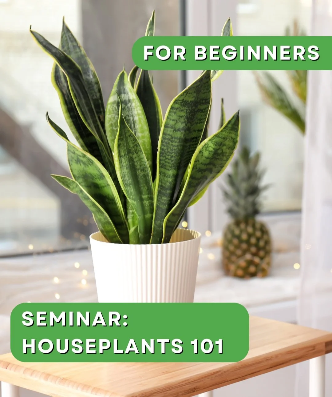Seminar: Houseplants 101 for Beginners