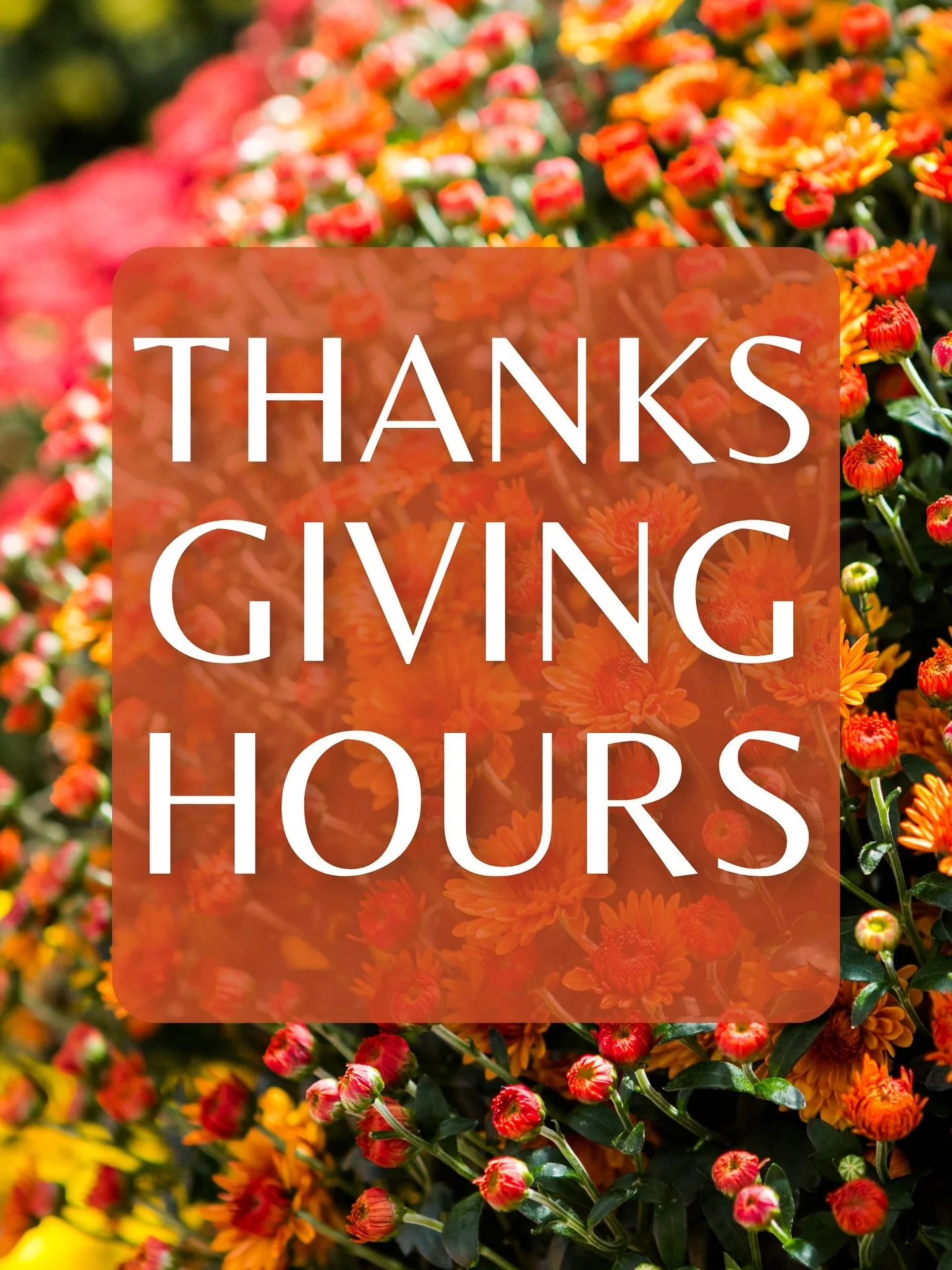 🍂 Thanksgiving Weekend Hours 🍂
We&rsquo;re open all weekend long &mdash; so whether you&rsquo;re picking up last-minute gifts, grabbing a hostess present, or decorating your porch for family gatherings, we&rsquo;ve got you covered! 🎃🌻

Friday: 9A