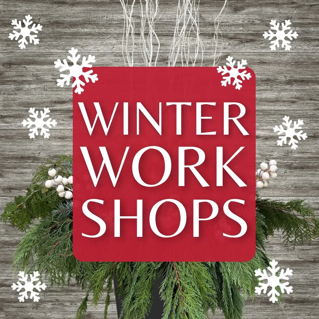 We know it’s still fall… but we couldn’t wait any longer to share our christmas & winter workshops! 🎅❄️ this is the season to be festive - and what better way to embrace it than with a hands-on, creative experience right here?