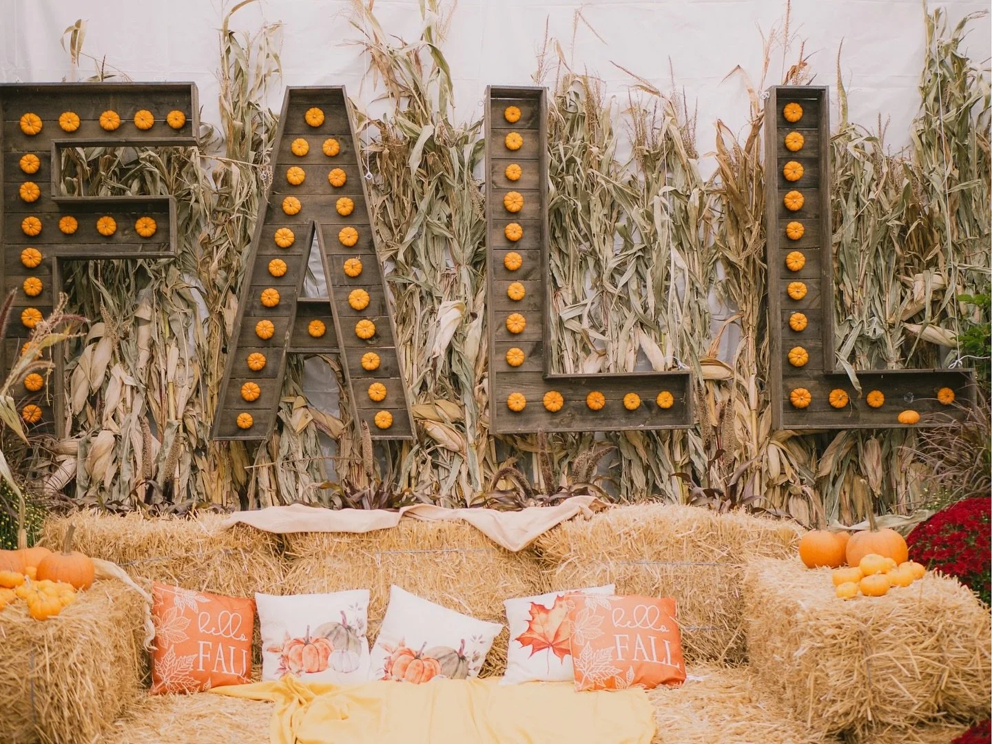 Our FALL wall is still here 🍂✨ come by, snap some adorable pics with friends or family, and make those instagram-worthy memories! this one’s only around for a little while, so dress up, strike a pose, and get those cozy fall vibes while you ca