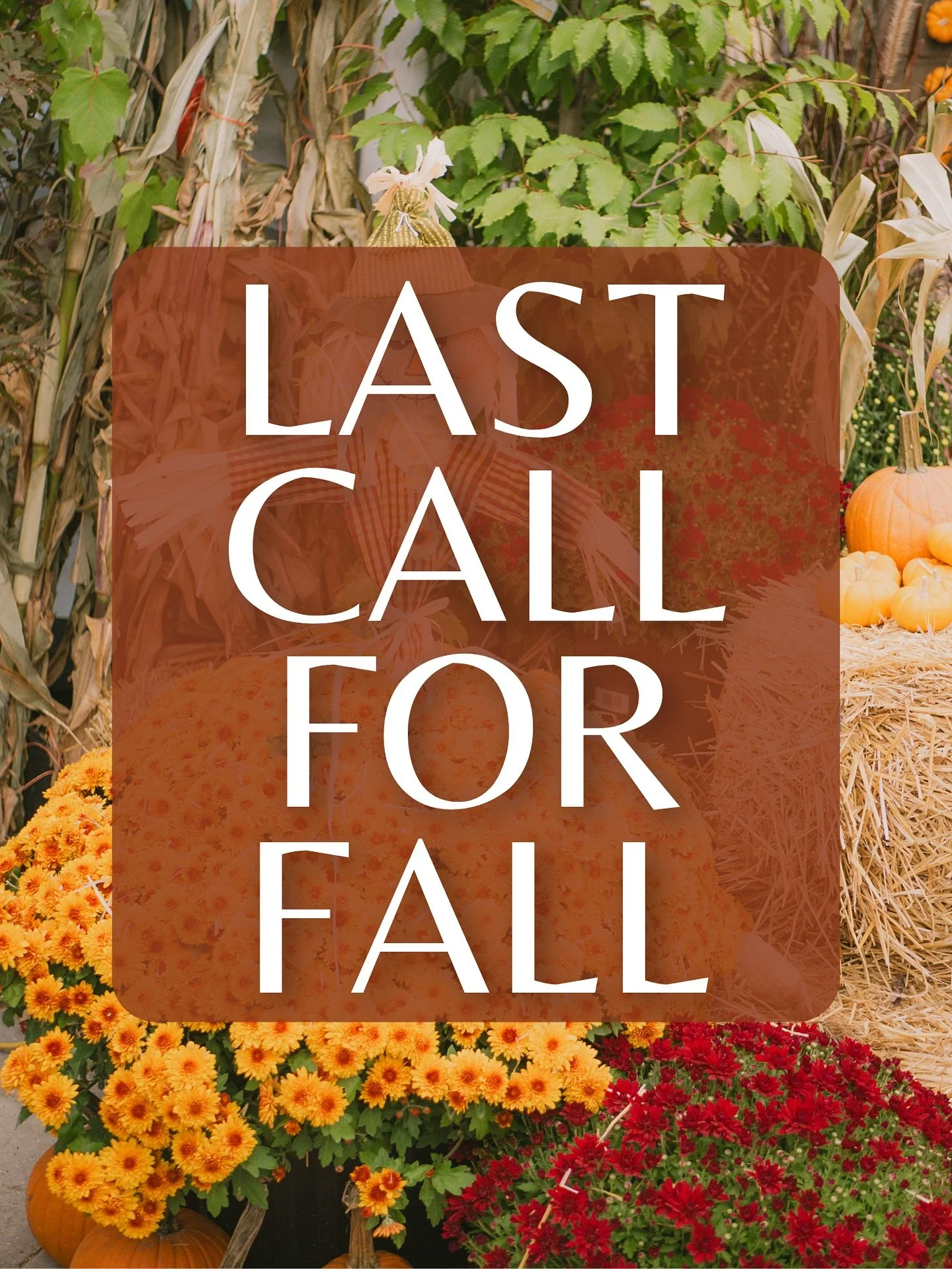 🍂 LAST CALL FOR FALL! 🍂
We’re wrapping up the season with a 20% OFF storewide sale on all your favorite fall décor, starting today! 🧡
Stock up on seasonal favourites like corn stalk bundles, mums, fall annual arrangements, colorful