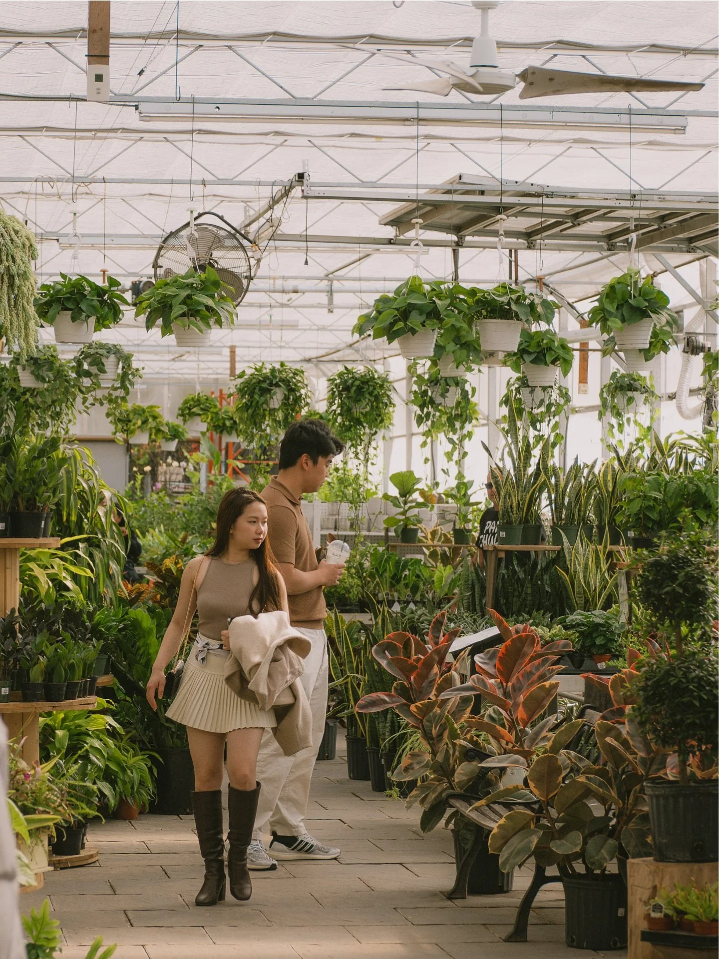 While it’s chilly outside, it’s warm and toasty in our tropical greenhouse 🌤️
Take a stroll through our lush houseplant collection and soak up the greenery, it’s the perfect way to escape the cold and bring a little life indoors.