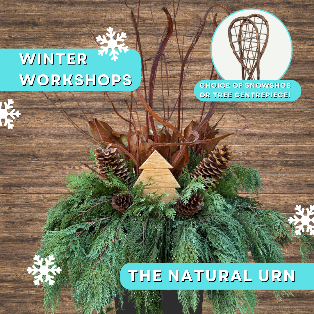 Winter Workshop: The Natural Urn