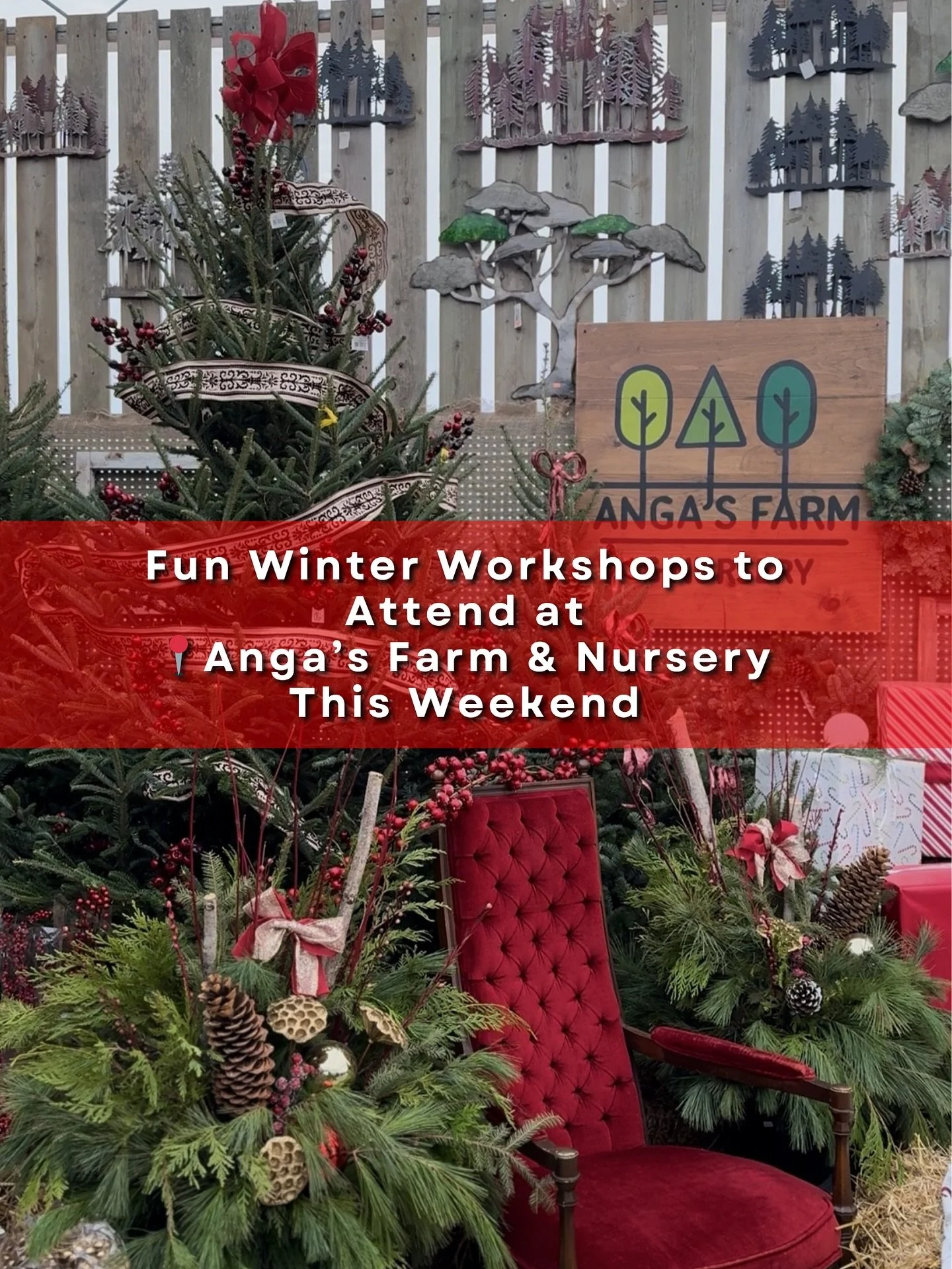 Our very first workshop of the season is here! ✨

We&rsquo;re so excited to kick off our Winter Workshop Series with Winter Urn Basics: A Beginner&rsquo;s Workshop! 🌲❄️ Join us this Saturday and Sunday as we dive into festive creativity and get our 