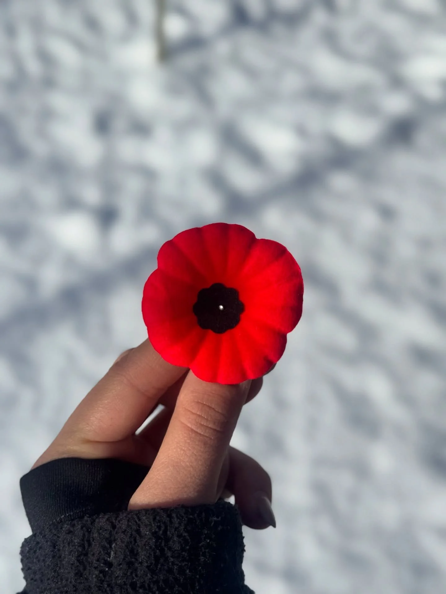 Honouring those who served ❤️