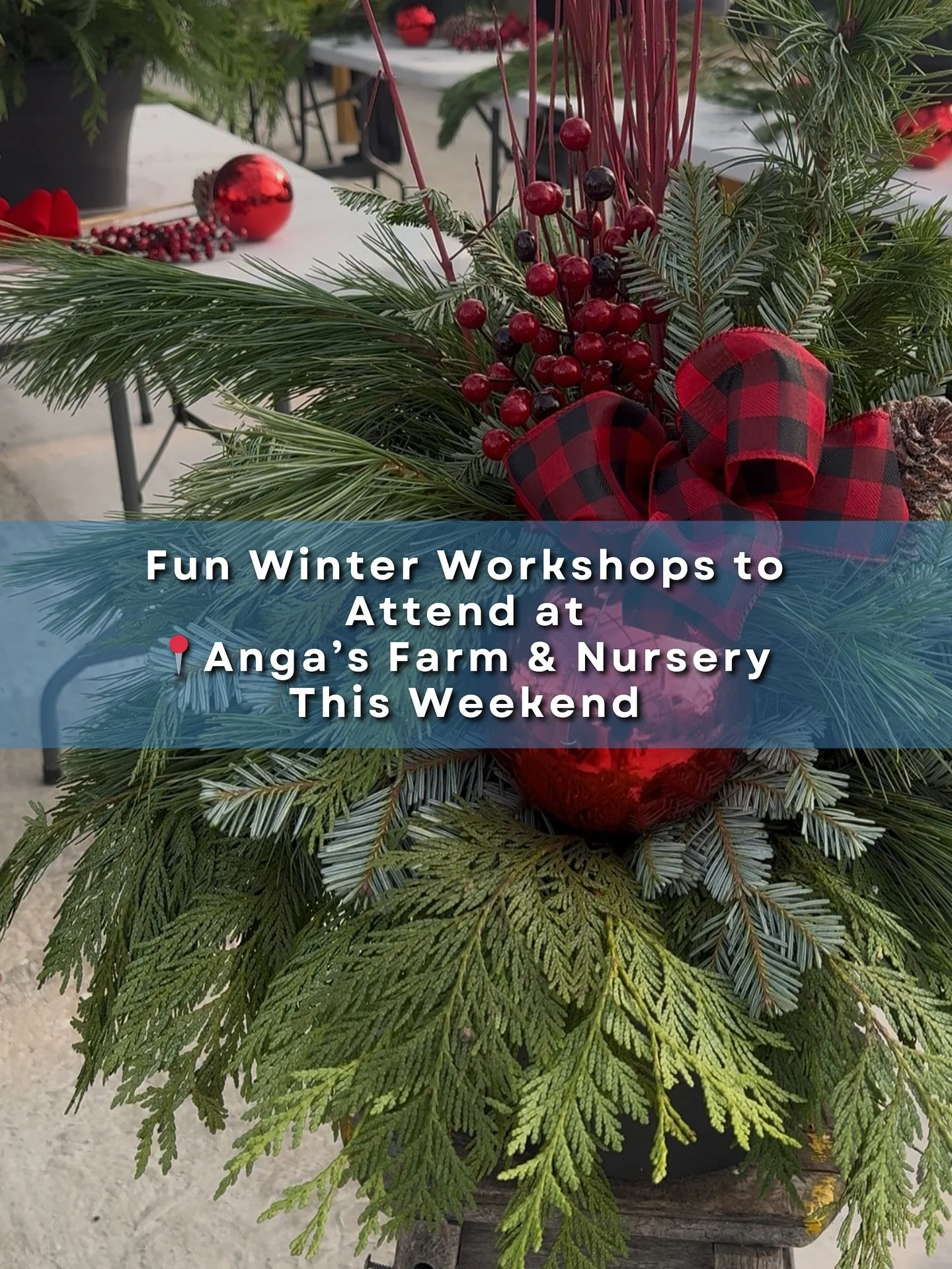❄️ Two incredible Winter Urn Workshops are happening this weekend,  just in time for the first snow of the season! As we say goodbye to fall planters, it&rsquo;s the perfect moment to welcome something fresh, festive, and full of winter charm. 🌲✨

G