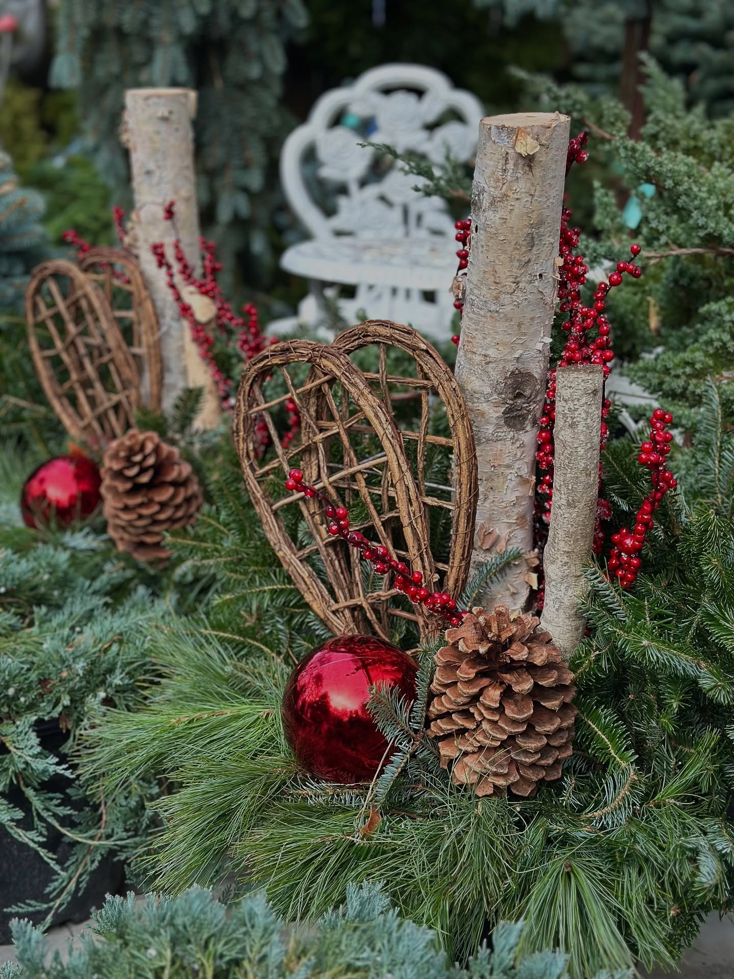 Celebrate the season with Angas creations ❄️✨
Our winter urns are officially here! beautifully decorated and ready for your porches and walkways. From classic red and traditional holiday tones to natural wood textures, soft whites, and elegant golds,