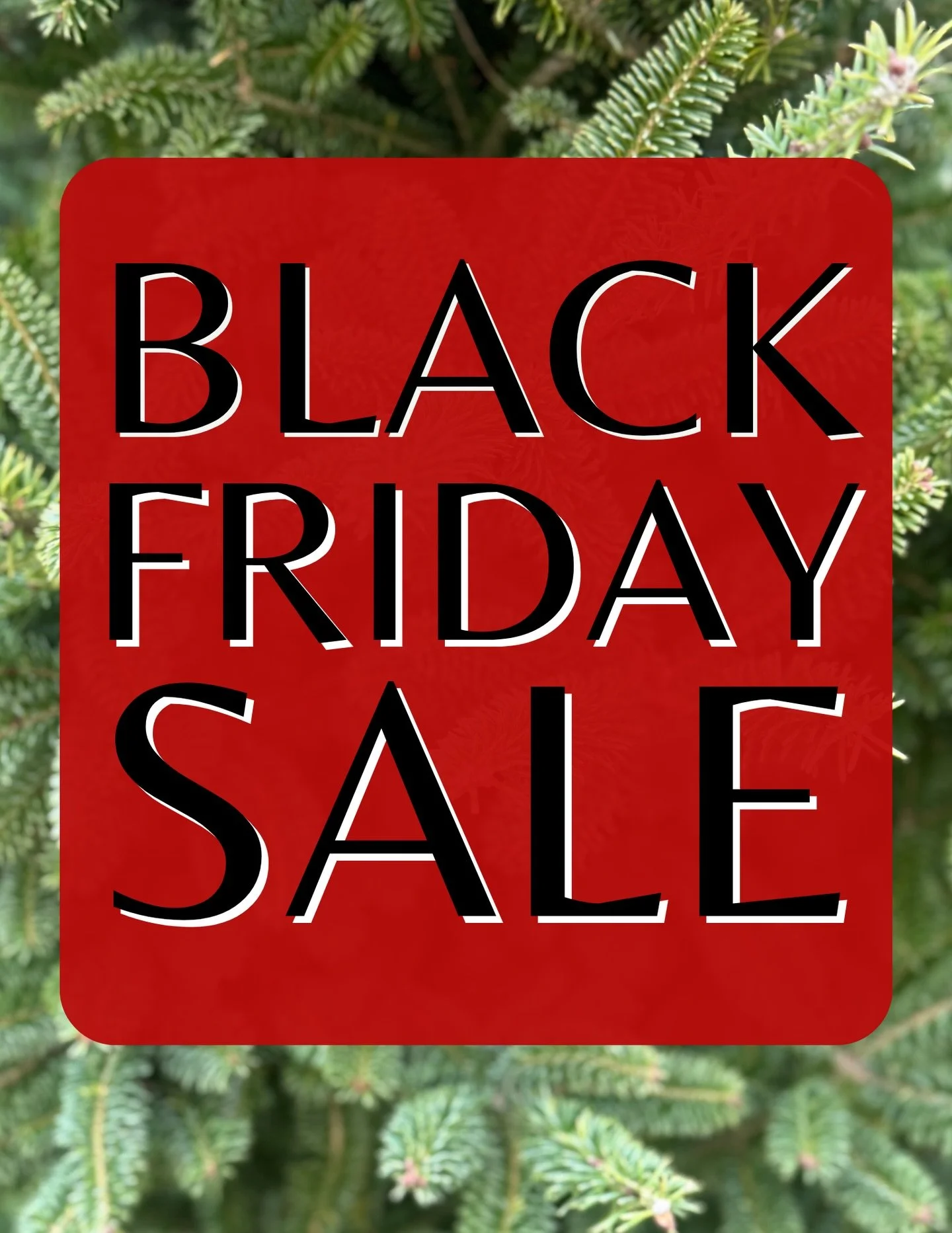 Black Friday Weekend is blooming at Angas! 🌲✨

From Friday - Sunday, shop in-store for deals on houseplants, fresh wreaths, garland, boughs &amp; select string lights! 
Get your home holiday-ready and save while you&rsquo;re at it 😉