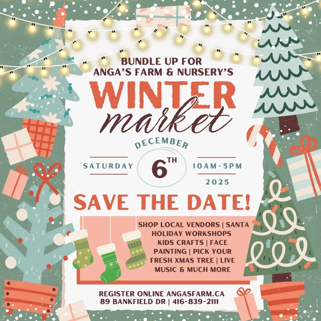 🎄 Our Winter Market is just 1 week away! ✨
Bundle up and get ready..

Join us next Saturday, December 6th from 10am&ndash;5pm for a festive, cozy day filled with your favourite holiday magic. We&rsquo;re bringing together local vendors, live music, 
