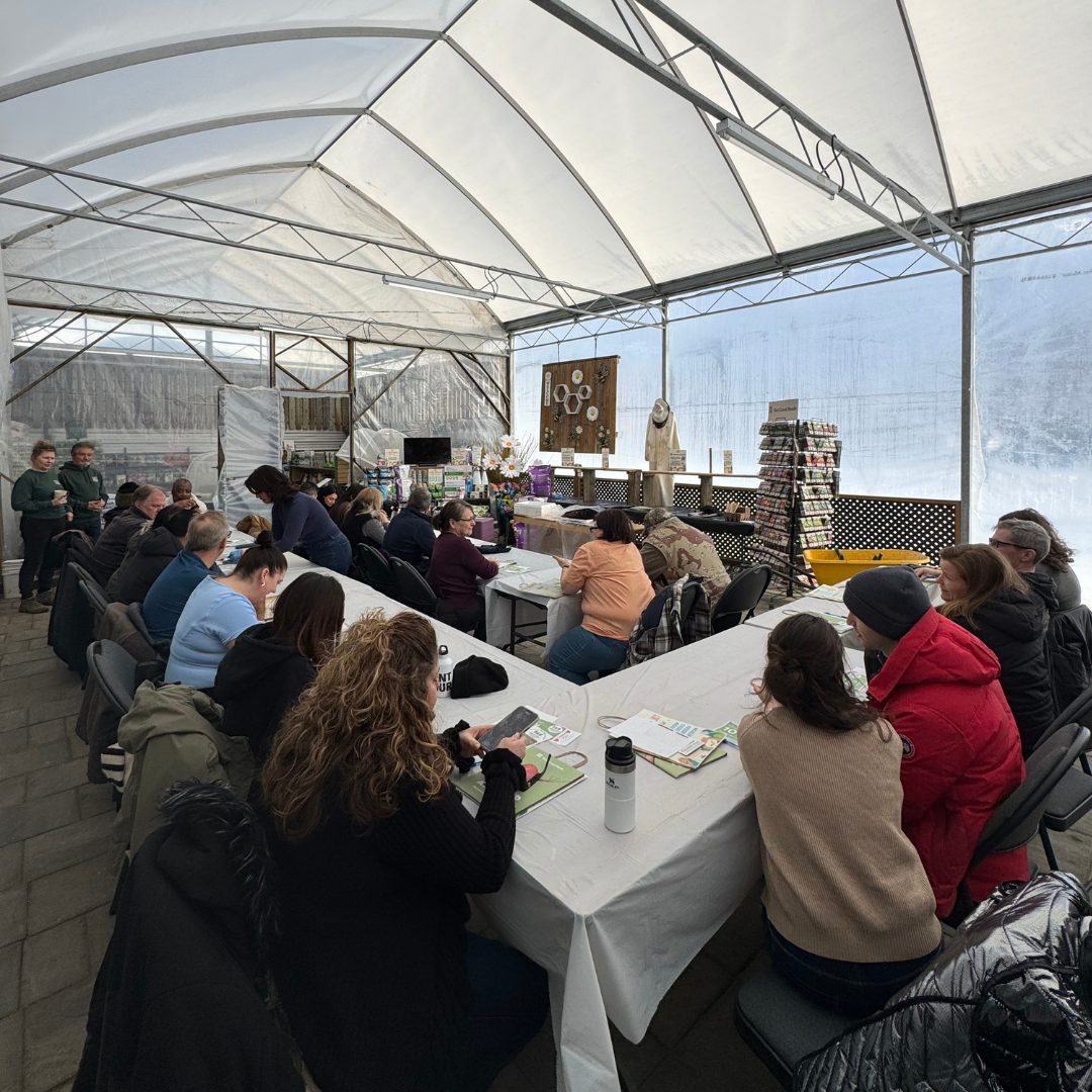 Anga’s WinterWorkshops (32).png