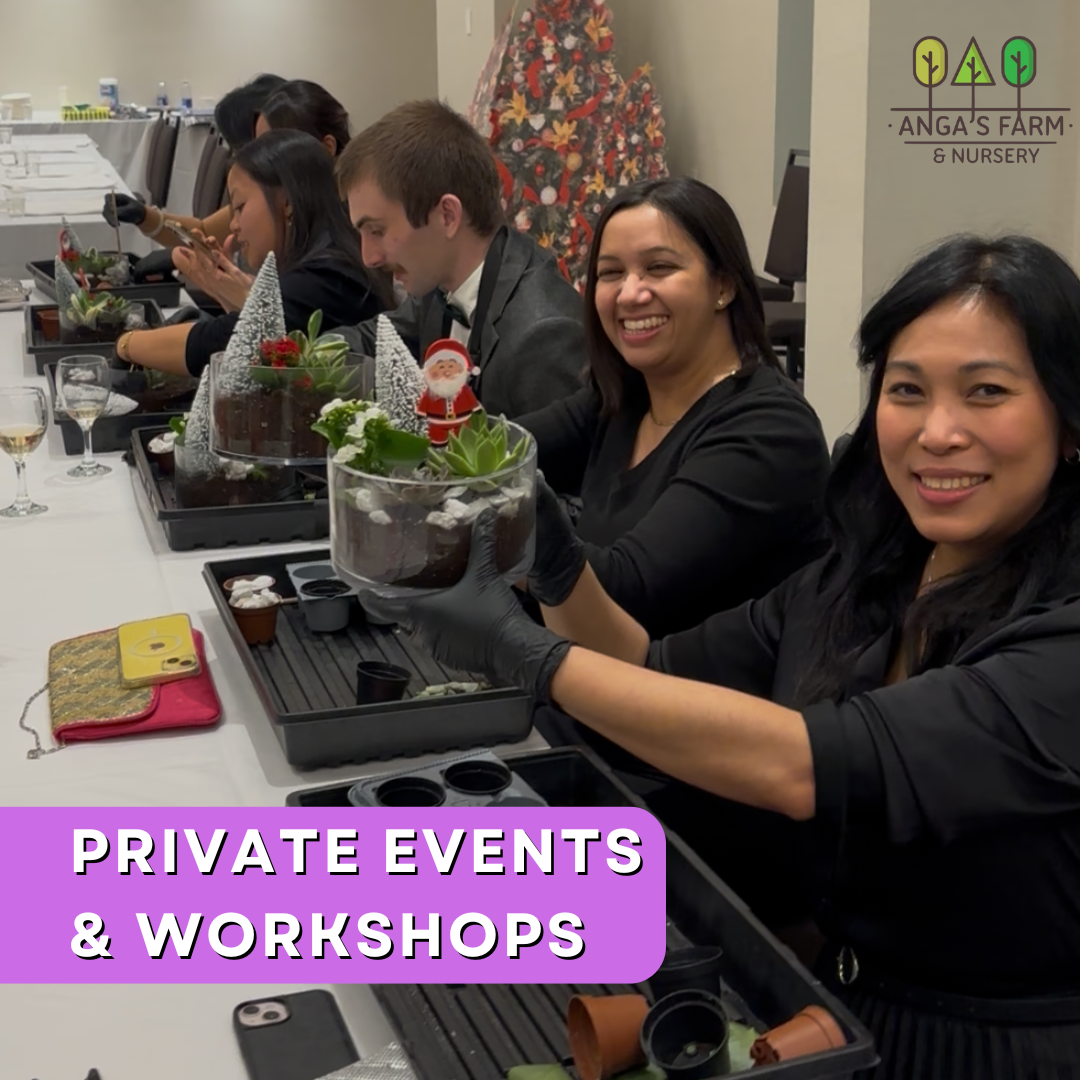 Private Workshops & Events – At Our Place or Yours!