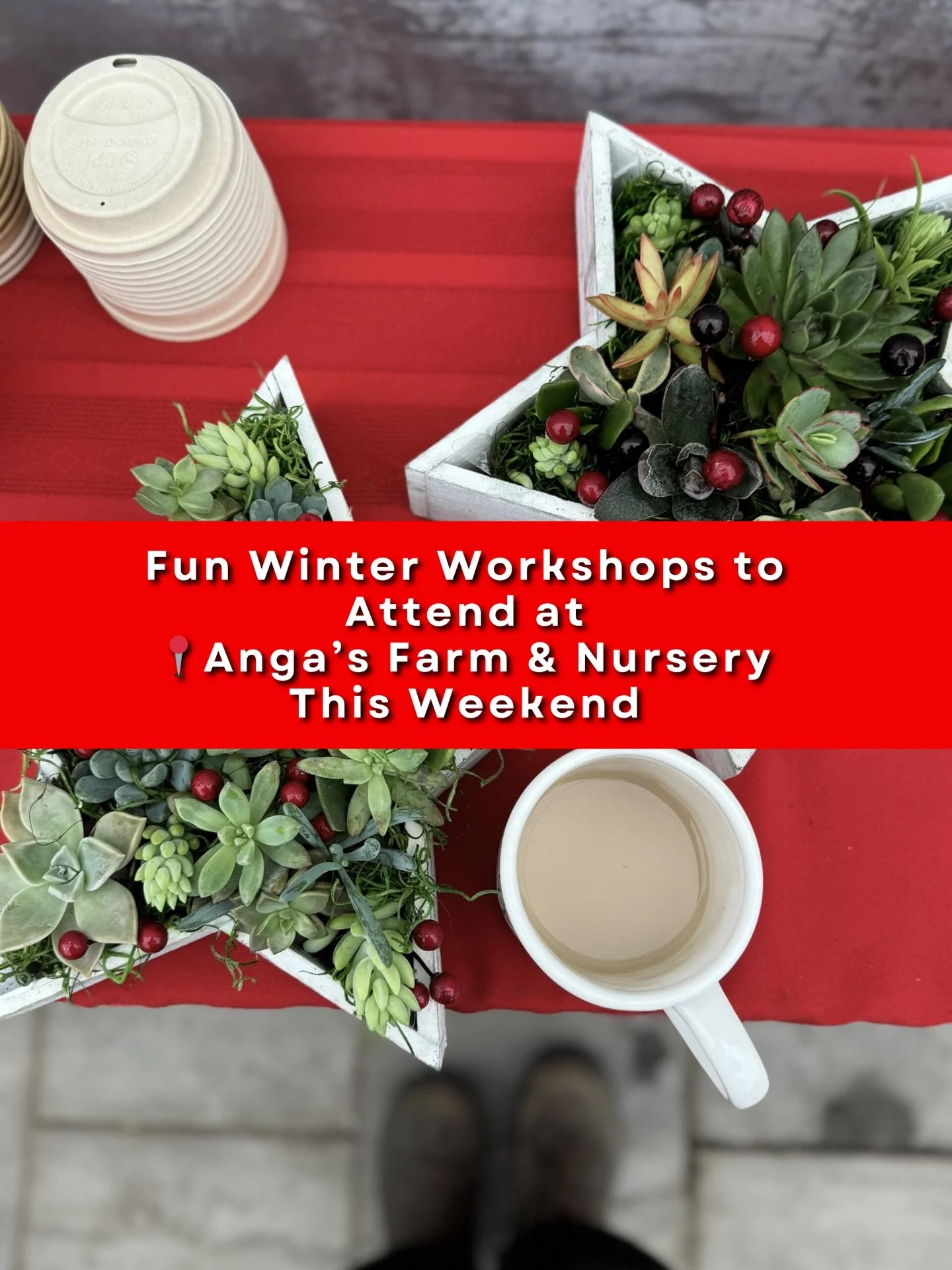 We&rsquo;ve got a full weekend of holiday workshops lined up! 🎅✨

Join us Saturday for our sell-out Starry Succulent classes, and bring the little ones Sunday for our kids&rsquo; morning &amp; afternoon sessions.

Save your spot through the link in 