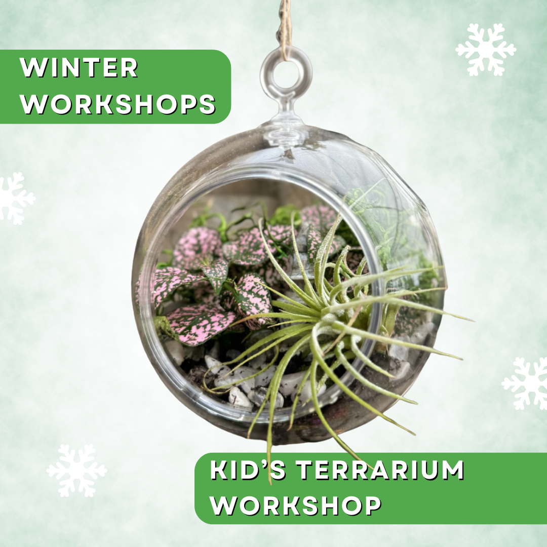 Kids Terrarium Workshop