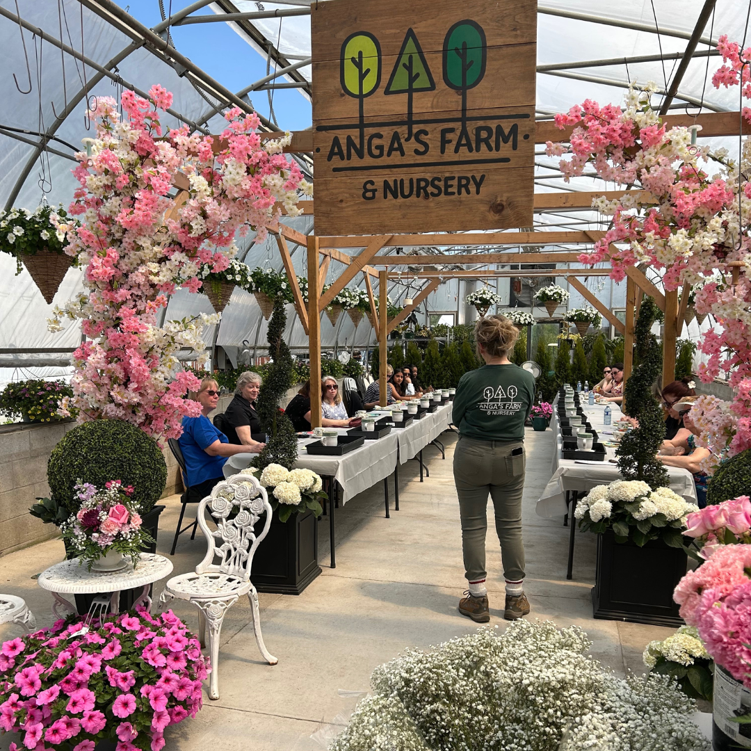 Anga’s WinterWorkshops (99).png