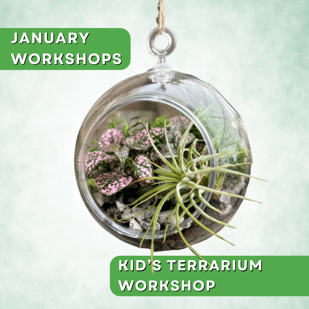 Kids Terrarium Workshop